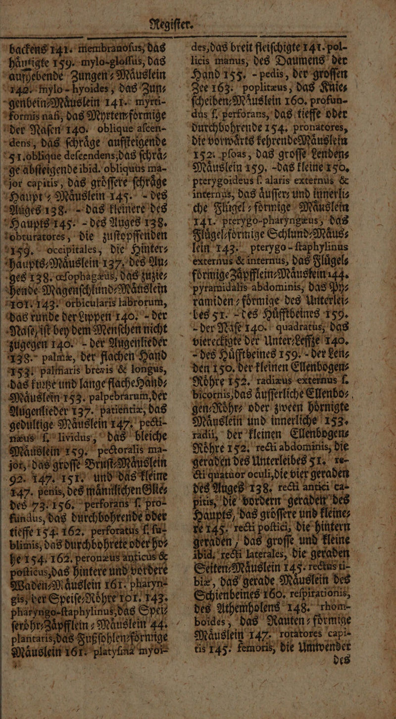 | | Negiſter. backens 141. membragoſus das des, das breit fleiſchigte 141 pol- häurigte 159. mylo-glalſus, das licis manus, des Daumens der “aurpebende Zungen Mäuslein Hand 155. -pedis, der groſſen 14. mylo-hyoides, das Zun⸗ Zee 163. poplitæus, das Knie ee e e ee myrti- ſcheibenMäuslein 160. profun- Formis naß, das Myrten formige dus (. perforans, das tieffe oder der Naſen 140. oblique afcen- durchbohrende 154. pronatores, dens, das ſchrage aufſteigende die vorwärts kehrende Mäuslein 51.0 ligde deſeendens, das ſchra⸗ 132. ploas, das groffe Lenden⸗ ge abſteigende ibid. obliquus ma- Maͤuslein 159, das kleine 150. or capitis, das groͤſſere ſchraͤge ptety goideus f. alaris extefnus &amp; Haupt Mäuslein 14J. des internäs, das auſſer und uneſli⸗ Auges 138. das kleinere des che Flügel formige Maͤuslein Haupts 145. des Auges 138. 41. prerygo-pharyngeus? das zobeufstores, die zuſtopffenden Flägeſeformige Schlund⸗Mäus⸗ 1. J. oceipitales, die Hinter⸗ lein 143. pterygo - ſtaphylinus Haupes,Mäuslein 137 des au, Exrerhus &amp;intermüs, das Slügels ges 138. Glophagezus, das fügte, foͤrmigeZäpfflein⸗Mauskein 44. hende Magenſchfund⸗Mänslein pytemicahe abdominis, 5 560 101,143. orbicularis labrorum, kamidenfoͤrmige des Unterlei⸗ das runde der eippen 140, der bes r. des Huͤfftbeines 139. Maſeſ iſt bey dem Menſchen nicht der Niſe nac quadratus, das zugegen 140. der Angenlieder veereckigte der Unter Leffze 140. 138. palme, der flachen Hand des Huͤfftbeines 150. - der ken⸗ 1531 Paltnaris brövis &amp; longus, den 150. der kleinen Ellenbogen⸗ 5 meo-Raphylinus.dag Spes? des Athemholens 148. hom- ſeröͤhr⸗ Zaͤpfflein⸗Maͤuslein 44. boices, das Rauten drm plantaris,de e ene Maͤuslein 147. rorätores capi. Mäuslein 167. pin fe myor 1 *