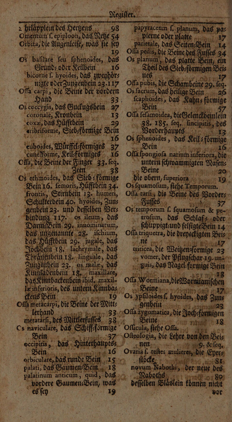 — tan Oment. in l. epiploon, das Netze 54 Orbita, die Augenleiſe, was ſie ſey os, baflare ſeu Species, 3 8 Grund⸗ oder Keilbein bicorne f. hyoides, das zweyhoͤr nige ed Bin f 23.117 ‚of 1 die Beine der 99 ‚coronalg, Kronbein ‚COXZ, das Huͤfftbein 29 „suibriforme, ge Dein ‚cuneifotme, Keilformiges 16 ob, die Beine der Finger 33. Eg. | een 38 05 echinoides, das Gib; förmige Bein 16. femoris, Hüfftbein 34. frontis, Stirnbein 13. humeri, Schulterdein 40. hydides, Zun⸗ bindung 117. os ileum, das Darm, Bein 29, innominarum, 1 Ane genannte 28. iſchium, Iftbein 29. jugale, das fein 8, lachiyimale, „ das 1 bein 18. ‚linguale, das 0 ER oJ male 5 das 100 denbein 18. 1 das | nbackenbein ibid,, ‚maxil- le in eus Be e Be 5 u die ebe der ni FRA FR palati, das Gaumen Bein... 28 palatinum anticum, quid, vordere Gaumen, Bein, was es ſey — 3 1 e 4 * $ pierne oder Platte u ae das Sehn e 14 edis, die ö uf es 34 | Lösch e Bein, ein fürmigen Be Bei, a put is die! he nei „Leg. Os ſacrum, das hei A I e en d bac, J ein 775 Of ſelamoidea, dieren 1 ei 38. 185, ſeq. fincipiti | Vorderhaupts 13 Os ‚Sphenöides 3 das Kal, N | Bein 16 Oflifpongiofa Bain itte, die untern ſchwammi igten Naſen⸗ Beine F die obern, pee IR Os ſquamoſum, fiehe, Temporum. Ola tarts Die Beine des ane, r s. 37 Os temporum L N ru &amp; pe- troſum, das Schlaf; oder ſchuppigt / und felſigte ein 14 of. n die dreyeckigten Bei⸗ K ne 17 aides, Nie Weizen ernie 23 vomer, der Pflugſchar 19. un- d das Rage formige Da 1 ob ee dee Os 1 beide, de 7 — ä genbein a8 33 Oflas Se 8 di och füt a eine 1 1 e Ofleula, ſiehe Of. . be 9. &amp; ſeq. Oi des anlieres, Die 2 MDR; 2 ee t e novum Naborhi „ der Jun des daboths beben Belkin. tonnen * vor * A