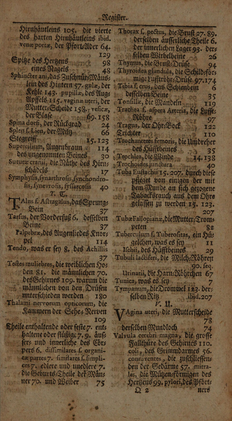 Hirnhbäutleins ı 105. die v vierte ente Portes ber Pfottolder 64. ent Pre 129 Se des Herhens en 88 48 Phincter ani, das Zuſchnür Mäus⸗ t lein des Hintern 57. gulæ, der $ RS. chle 143. pupilla, des Aug Apffels II 5. vagina uteri, der . Fein ein 69. Ey bone, dorf, go Ruͤckgr 50 Br Lien, be e 751 66 N A eee 5 us ‚Suturae cranii, die Näthe des Hirn, ſchaͤdels ade ee s,fynarthrofis, % a0ndro- ; die, dynevroßs, Syflercofis 40 TI Sn Bein Tate, dr u Berderſuß 55 baten peel 114 Ten, was er iM . des dei en Ae den 81. die männlichen 70. des Gehirnes 109. warum die Jus mannlichen von den Drüfen unterſchieden werden 3. 180 me nervorum opticorum, die Kammern der Sehe⸗ n . 817 haltene oder flüßige 7, 9. . ms ‚ferz und innerliche des Cort pers 6. diſſimilares ſ. organi- * l „‚eblere und unedlere 7. e 2 8 ts Theile , ner N 15 Weiber f t9} — — üñ— —¼ vo dener pectus, 27. 89. die B derſelben . 6. der innerlichen Lager 93. der⸗ 0: de ee 0 5 Thyams, die Bruſt⸗ Dru, ‚fEhyroiden glandula, die S 925 e mige kufftröhr⸗Drüſe 97.174 ir Tibiaf, crus, das Saen 6 deſſelben Beine 35 6 Ton illa, die Mandeln 537 Tete 6 pe Kaefig, Nöh 0 955 97 ne der Ohr Bock 5 122 „Trichter 088817 Lecken e die übe des Hufftbeines 35 4 Tepenles, bie Winde, an 88 nl 5 8 21 rocheides junctura en ee 20%. ich iefe pfleget von einigen der mit dem Munde an ſich gezogene 2 20 Taback Fsrauch aus dem Ohre vr je abe en GT nr itas, an Hi gelchen, was es ſey „hi, det d 29 Milch⸗ pen ſeq. D nen was es ſey Nat 22 ſelben g Nitz 95 0 derſelbens Mundloch ‘Aa Valle cerebri magna, D groſſe Fallthuͤre des Gn 110. coli, des Grimmdarmes 56. den der Gedarme 57. mitra. les, die Nügenfst nig 1 Pfoͤrt⸗ e a pylori, d. d 99. pylori bes ie