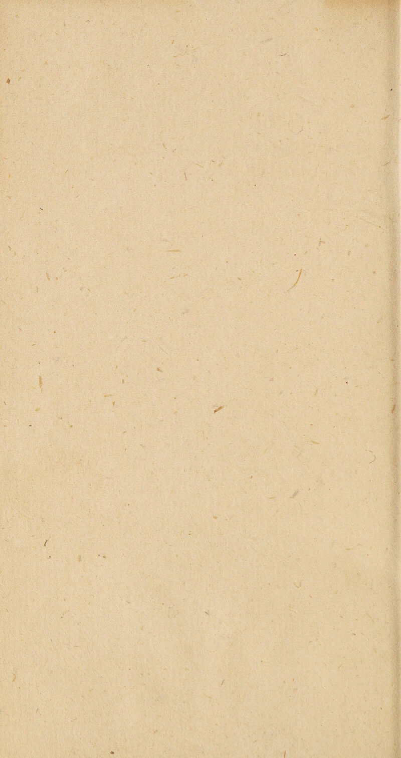 •V \ , > f \ f / ; I / I