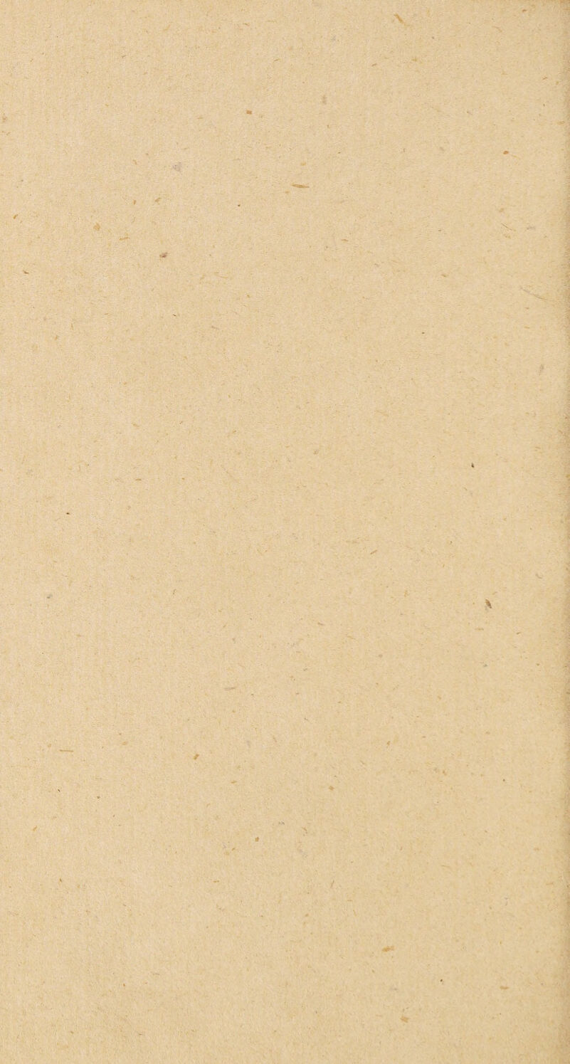 ¥ \ fr £ . I A / •