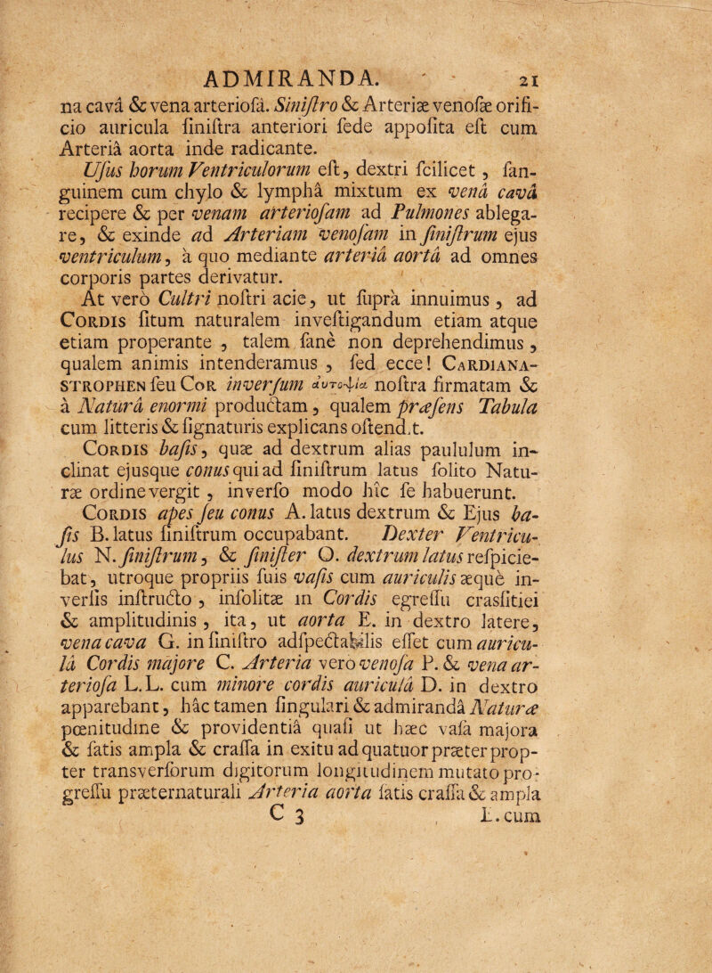 na cavd & vena arteriola. Siniflro & Arteriae venofae orifi¬ cio auricula finiftra anteriori fede appolita eft cum Arteria aorta inde radicante. Ufus horum Ventriculorum eft, dextri fcilicet, fan- guinem cum chylo & lympha mixtum ex vena cava recipere & per venam arteriofam ad Pulmones ablega¬ re, & exinde ad Arteriam venofam in finijlrum ejus ventriculum, a quo mediante arteria aorta ad omnes corporis partes derivatur. At vero Cultri noftri acie, ut fupra innuimus, ad Cordis fitum naturalem inveftigandum etiam atque etiam properante , talem fane non deprehendimus, qualem animis intenderamus , fed ecce! Cardiana- strophen feu Cor inver/um Juto^u noftra firmatam & a Natura enormi produftam, qualem prafens Tabula cum litteris & lignaturis explicans oftend.t. Cordis bafis, quae ad dextrum alias paululum in¬ clinat ejusque conus qui ad finiftrum latus folito Natu¬ rae ordine vergit , inverfo modo hic fe habuerunt. Cordis apes /eu conus A. latus dextrum & Ejus ba¬ fis B. latus finiftrum occupabant. Dexter Ventricu¬ lus N.finijlrum, & finijler O. dextrum latus refpicie- bat, utroque propriis fuis vafis cum auriculis aeque in- verlls inftrudo , infolitae iri Cordis egreifu crasfitiei & amplitudinis, ita, ut aorta E. in dextro latere, vena cava G. infiniftro adfpe&alfefiis effet cum auricu¬ la Cordis majore C. Arteria verovenofa P. & venaar- teriofa L.L. cum minore cordis auricula D. in dextro apparebant, hac tamen lingulari & admiranda Natura poenitudine & providentia quali ut haec vafa majora & fatis ampla & cralfa in exitu ad quatuor praeter prop¬ ter transverforum digitorum longitudinem mutato pro* greffu praeternaturali Arteria aorta latis cralfa & ampla C 3 . E. cum