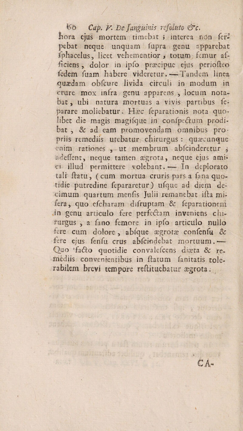 fc’6 €ap. 'y,; Di? /'anguinis refaluto &amp;c. hora ejus mortem timebat > interea nOn fer pebat neque unquam fupra genu apparebat iphacclus, licet vehementior , totum femur af¬ ficiens , dolor in ipfo pra?cipue ejus periofleo fedem fuam habere videretur. «—Tandem linea quaedam obfcure livida circuli in modum in crure mox infra genu apparens , locum nota¬ bat 5 ubi natura mortuas a vivis partibus fe- parare moliebatur- Haec feparationis nota quo* libet clie magis magifque in confpefhiiri prodi¬ priis remediis utebatur chirurgus : quaecunque enim rationes , ut membrum abfcinderetur * 'adedent, neque tamen aegrota, neque ejus ami¬ ci illud permittere volebant.— In deplorato tali flatu, (cum mortua cruris pars a fana quo¬ tidie putredine fepararetur) tifque ad diem de¬ cimum quartum menfis Julii remanebat ifta mi» fera, quo efcbaram difruptam &amp; feparationem Jn genu articulo fere perfidiam inveniens chi¬ rurgus , a fano femore in ipfo articulo nullo iere cum dolore , abfque aegrotae confenfu Bc fere ejus fenfu crus abfcindebat mortuum.—* Quo Tadlo quotidie convalefcens di^ta &amp; re* inediis convenientibus in flatum fanitatis tole¬ rabilem brevi tempore redimebatur aegrota . CA- %