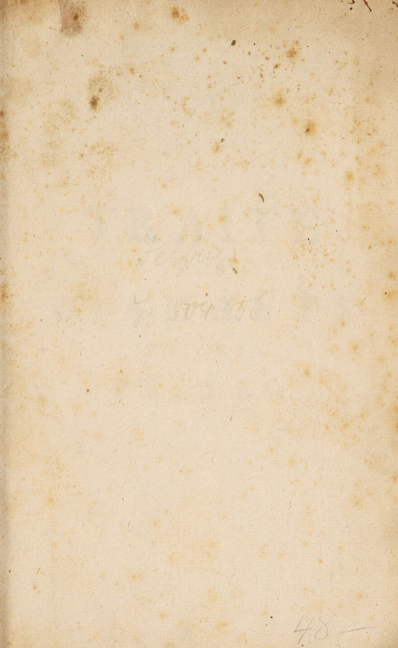 I ,s . ( I / ! * l / . ' ry 'J.) ’ / < )