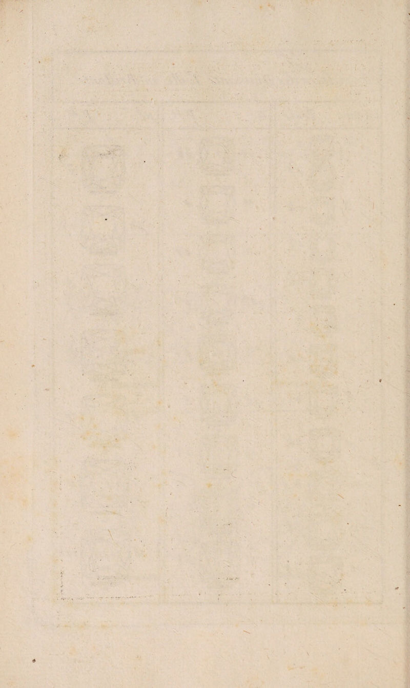 z' X l -Jtr \ \ l 5 Mi» ■. ■ • ' J.; c N ir. \