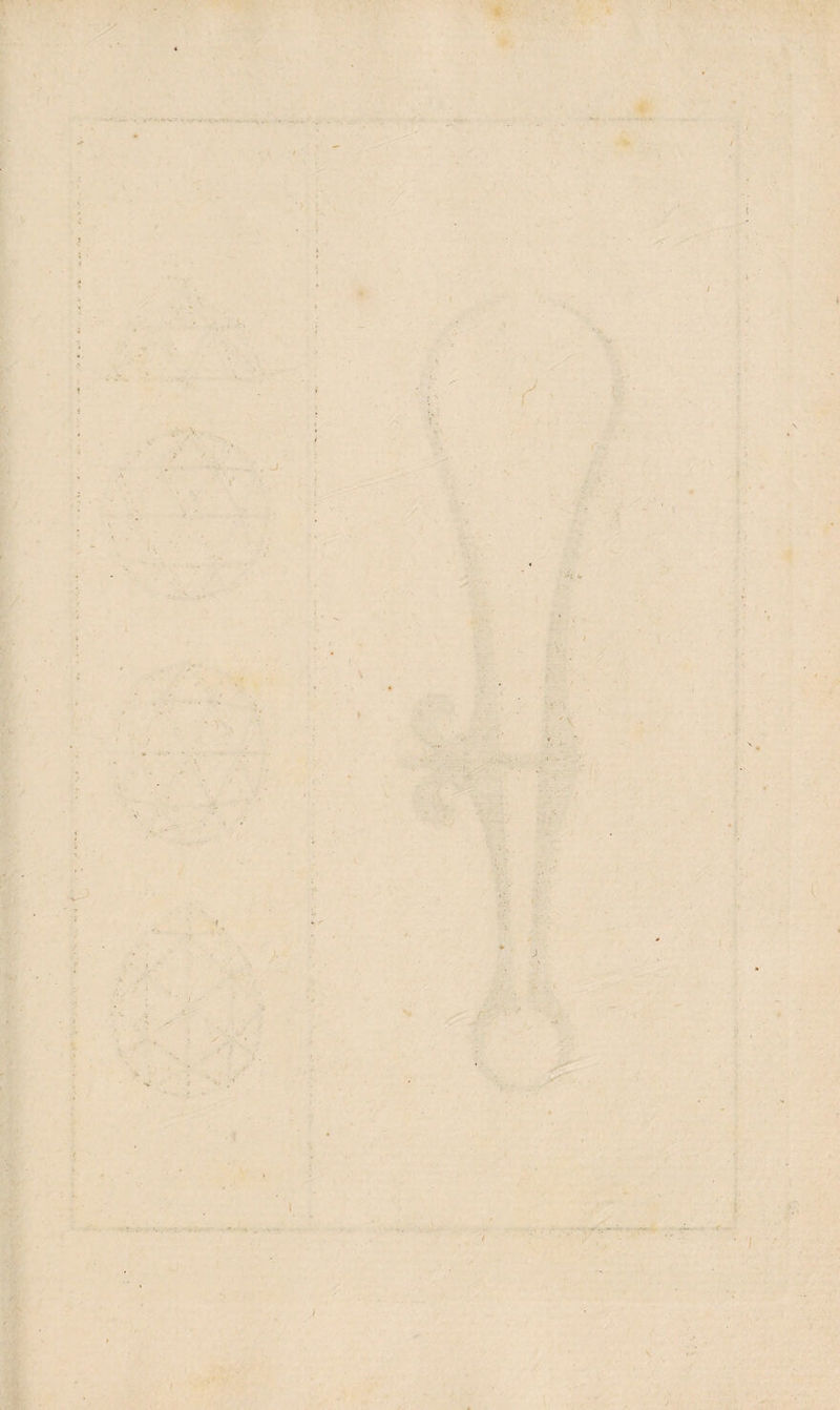 .... , J ' \ ' ‘ • i . ’ V-.. f I \ t*