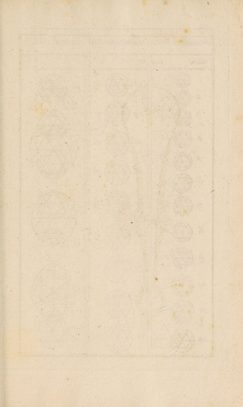 *v * / ' V/ ■,.4* * *• ( *. ■\