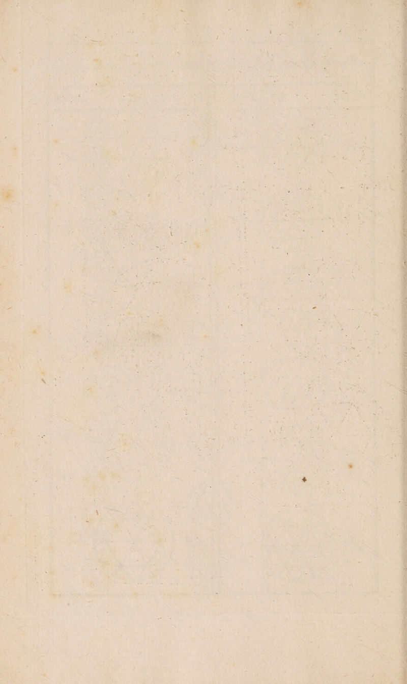 s ' ( \ \ I ' \ l \. •• ■ >• ,. ' , '■ * ' B » ♦ • . '.