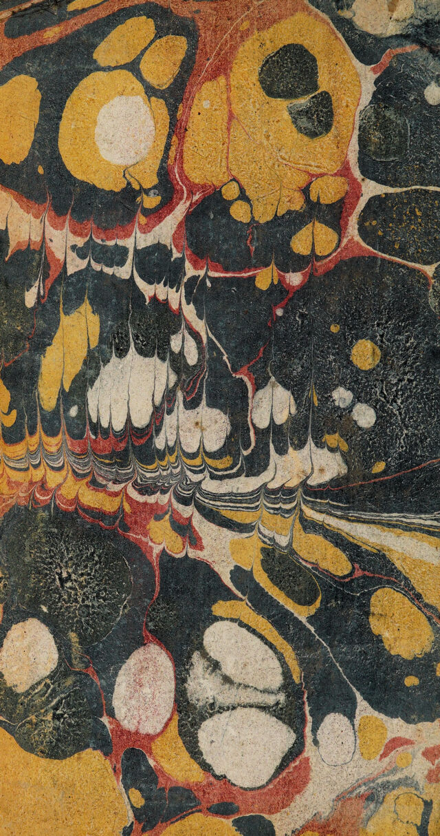 No text description is available for this image