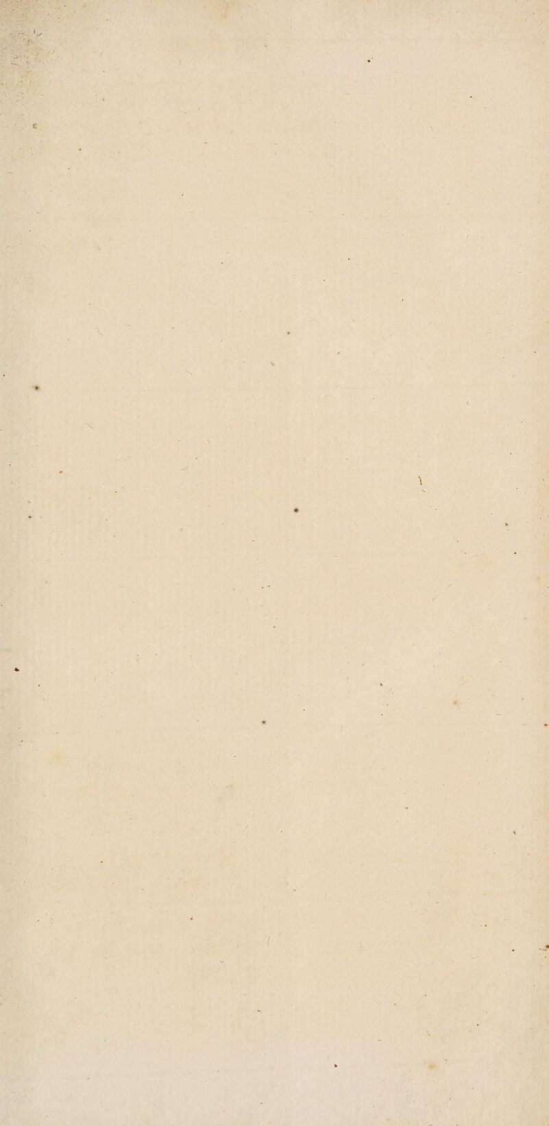 v ’ v > • • f '-fr- ' c 's \ I