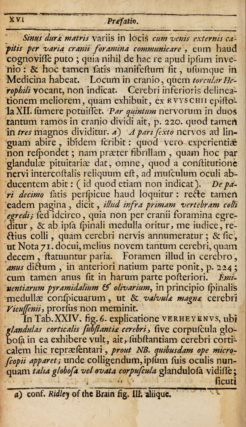 ^VI Prdfatio. Sinus dura matris variis in locis cum •venis externis ca¬ pitis per varia cranii foramina communicare \ eum haud cognovifle puto ; quia nihil de hac re apud ipfum inve¬ nio : & hoc tamen latis manifeftum fit, ufumque in Medicina habeat. Locum in cranio, qtiern torcularHe- rophili vocant, non indicat. Cerebri inferioris delinea¬ tionem meliorem, quam exhibuit, ex rvyschii epifto- laXII. (umere potuifiet. Par quintum nervorum in duos tantum ramos in cranio diviui ait, p. 220. quod tamert in tres magnos dividitur, a) A panfexto nervos ad lin¬ guam abire , ibidem fcribit: quod vero experientiae non refpondet; nam praeter fibrillam , quam hoc par glandulae pituitariae dat, omne, quod a conffitutionc nervi intercoftalis reliquum eft, ad mufculum oculi ab¬ ducentem abit: ( id quod etiam non indicat). De pa¬ ri decimo faris perfpicue haud loquitur : refte tamerl eadem pagina , dicit, illud mfra primam vertebram colli egredi; kd idcirco, quia non per cranii foramina egre¬ ditur , & ab ipfa (pinali medulla oritur, me iudice, re- frius colli, quam cerebri nervis annumeratur fic, ut Nota 71. docui, melius novem tantum cerebri, quam decem , ftatuuntur paria. Foramen illud in cerebro , anus diftum , in anteriori natium parte ponit, p. 224 ; cum tamen anus fit in harum parte pofteriori. Emi¬ nentiarum pyramidalium (f olivarium, in principio (pinalis medullae coripicuarum, ut valvula magna cerebri Vieujfenii, prorfus non meminit. In Tab.XXIV. fig.<£. explicatione verheyenvs, ubi glandulas corticalis fubftantia cerebri, five corpulcula glo- bo(a in ea exhibere vult, ait, fubftantiam cerebri cortb calem hic reprae lentari, prout NB. quibusdam ope micrq- fcopii apparet; unde colligendum, ip(um (iiis oculis nun¬ quam talia globofa vel ovata corpufcula glandulofa vidilTe; -' ; ' ' i ** v | ficuti ’ a)~CQnfi Ridley of the Brain fig. Iit aliique. u