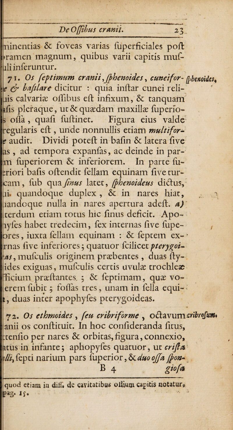 » De Ofjibus cranii. 2 3 minendas & foveas varias fuperficiales poft »ramen magnum, quibus varii capitis mut¬ uli inferuntur. 71 .Os (eptimum cranii ,Jphenoides, cunei for- fchemdes, r dr bajtlare dicitur : quia inftar cunei reli¬ dis calvariae o ilibus eft infixum, & tanquam nfis pleraque , ut & quadam maxilla fuperio- B offa , quafi fuftinet. Figura eius valde regularis eft , unde nonnullis etiam multifor- t? audit. Dividi poteft in bafin & latera five as , ad tempora expanfas, ac deinde in par¬ im fuperiorem & inferiorem. In parte fu- eriori bafis oftendit feliam equinam live tur¬ eam , fub qua fmus latet, (phenoideus diftus, ai. quandoque duplex , & in nares hiat, jandoque nulla in nares apertura adeft. a) terdum etiam totus hic linus deficit. Apo- lyfes habet tredecim, fex internas five lupe- ores, iuxta feliam equinam : & feptem ex- • rnas five inferiores3 quatuor fcilicet pterygoi- *as, mufculis originem praebentes, duas fty- ides exiguas, mufculis certis uvute trochlea? licium praeftantes, 3 &: feptimam, quae vo- erem fubit 3 folias tres, unam in fella equi- I, duas inter apophyfes pterygoideas. - . .... ... .* 72. Os ethmoides , feu cribriforme > oftavummbrofm* anii os conftituit. In hoc confideranda fitus, :tenfio per nares & orbitas,figura, connexio, atus in infante3 aphopyfes quatuor, ut crifta f/K,fepti narium pars fuperior,&^<?^[p°n- B 4 giofa quod etiam ia ditf. de cavitatibus oliium capitis notatur»