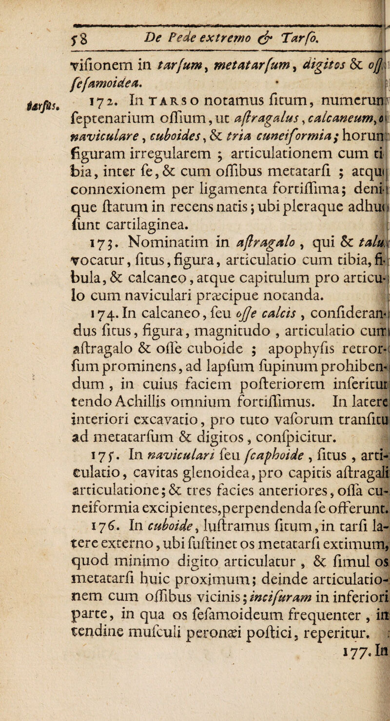 Titionem in tarfum, metatarfum, digitos & oj]{\ fefarnoidea. 172. In T a r s o notamus ficum, numcrun feptenarium o filum, at aflragalus ,calcaneumyc\ naviculare, cuboides, & /raa cuneiformia; horun: figuram irregularem ; articulationem cum ti bia, inter fe,& cum offibus metatarfi ; atqui, connexionem per ligamenta fortiflima; deni-! que flatum in recens natis; ubi pleraque adhuu funt cartilaginea. 175. Nominatim in aflragalo , qui & vocatur, ficus,figura, articulatio cum tibia,fiv bula, & calcaneo, atque capitulum pro articu-i lo cum naviculari praxipue notanda. 174.In calcaneo, feu ojje calcis , confideram dus ficus, figura, magnitudo , articulatio cum aflragalo & ofle cuboide ; apophyfis retror-: fum prominens, ad laptlim fupinum prohiben¬ dum , in cuius faciem pofleriorem inferitur tendo Achillis omnium fornifimus. In latere interiori excavatio, pro tuto vaforum tranfitu ad metatarfum & digitos, confpicitur. 17 f. In naviculari feu fcaphoide , fitus , arti¬ culatio, cavitas glenoidea,pro capitis aflragali articulatione ;& tres facies anteriores, offa cu¬ neiformia excipientes,perpendenda fe offerunt. 176. In cuboide, luftramus fi tum, in tarfi la¬ tere externo, ubi fuftinet os metatarfi extimum, quod minimo digito articulatur , & fimul os metatarfi huic proximum; deinde articulatio¬ nem cum offibus vicinis \incifuram in inferi ori parte, in qua os fefamoideum frequenter , iit tendine mufcuii peronsei pollici, reperitur. < 177. In