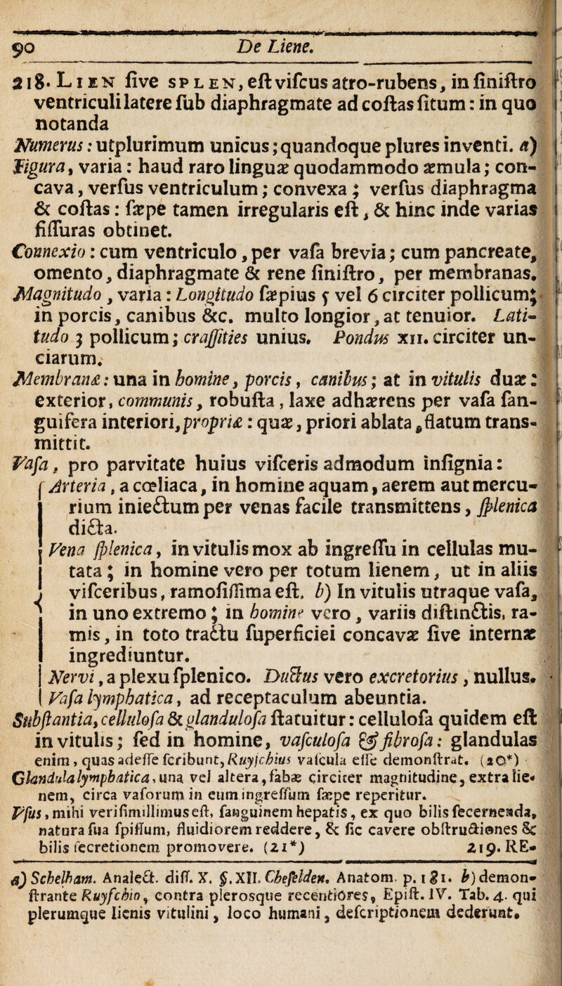 De Liene. 2i8«Lien five sPLEN,eftvifcusatro-rubens,infiniftro ventriculi latere fub diaphragmate ad coftasfitum: in quo notanda A^^em.-utplurimum unicus;quandoquepluresinventi, a) Ttigura^ varia: haud raro linguae quodammodo aemula; con¬ cava , verfus ventriculum; convexa; verfus diaphragma 6t coftas: ixpe tamen irregularis eft , 6c hmc inde varias fi duras obtinet. Connexio: cum ventriculo, per vafa brevia; cum pancreate, omento, diaphragmate 6c rene finiftro, per membranas. Magnitudo, vana: Longitudo fepius f vel 6 circiter pollicum*B in porcis, canibus 8ec. multo longior, at tenuior. Lati¬ tudo 3 pollicum; crajfities unius. Pondus xn. circiter un¬ ciarum. Membrana: una in homine, porcis, canibus; at in vitulis dux: exterior, communis, robufta, laxe adherens per vafa fan- guifera interiori,propria: qux, priori ablata * flatum trans» mittit. Fafa. pro parvitate huius vifceris admodum infignia: Arteria, a coeliaca, in homine aquam f aerem aut mercu¬ rium inie&umper venas facile transmittens, Jpienica difta. Fena (plenica, in vitulis mox ab ingreffuin cellulas mu- . a * ^ m • « • l> • tata; in homine vero per totum lienem, ut in aliis <( vifceribus, ramo fi/lima eft. b) In vitulis utraque vafa, in uno extremo; in homine vero, variis diftm&is, ra¬ mis , in toto tratlu fuperficiei concava five internae ingrediuntur. Nervi, a plexu fplenico. DiiScus vero excretorius, nullus. Vafa lymphatica, ad receptaculum abeuntia. Subftantia, ceilulofa fkglandulofa ftatuitur: cellulofa quidem eft in vitulis; fed in homine, vafculofa &fibrofa: glandulas enim, quasadefle tQnb\int^Ruy)chius valcula die demonftrat. (20*) Clandulalymphatka.unsk vel altera,fabae circiter magnitudine, extra lie¬ nem, circa vaforumin eum ingreffum faepe reperitur. FfuStmihi verifimillimuseft, fawguinem hepatis, ex quo bilis feceraeada, natura fua fpiflum, fluidiorem reddere, fic cavere obftru&iones Sc bilis recretionem promovere. (21*) 219. RE- &)Schelham. AnaleSt. difT. X. §, XII. Cheftldett. Anatom. p. i$i. b) demon- ftrante Ruyfcbio, contra plerosque recentiores, Epifl. IV. Tab.4. qui plerumque lienis vitulini, loco humani, deferiptionem dederunt.