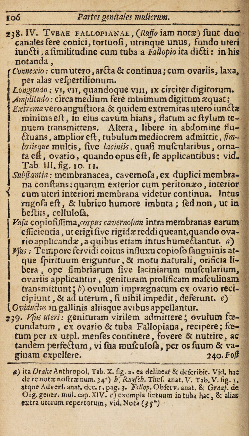 238. IV. TVbae fallopianae , (Ruffo iam not#) funt duo canales fere conici, tortuofi, utrmque unus, fundo uteri iun&i. a fimiiitudine cum tuba a Fattopio ita di£ti: in his notanda, ; Connexio; cum utero, arfl;a & continua; cum ovariis, laxa, per alas vefpertilionum. Longitudo; vi, vn, quandoque vin, ix circiter digitorum. Amplitudo: circa medium fere minimum digitum aequat; Extrema veroanguftiora & quidem extremitas utero iunfla minimaeft, in eius cavum hians, flatum acftylum te¬ nuem transmittens. Altera, libere in abdomme flu- ffcuans, amplior eft, tubulum mediocrem admittit, fim- briisque multis, five laciniis« quafi mufcularibus, orna¬ ta eft, ovario, quando opus eft, fe applicantibus: vid. Tab III.fig.io 11. Sub flantia: membranacea, caveraofa.ex duplici membra¬ na conflans:quarum exterior cum peritonaeo, interior 1 cum uteri interiori membrana videtur continua. Intus rugofa eft, <8c lubrico humore imbuta ; fednon, ut in beftiis, celluiofa. Fafa copiofiflima,corp«r cavernofum intra membranas earum efficientia, ut erigi five rigidx reddi queant,quando ova- rio applicanda?, a q uibus etiam intus humeflantur. a') Fjus; Tempore fervidi coitus influxu copiofo fanguinis at¬ que fpirituum eriguntur,8c motu naturali, orificia li¬ bera , ope fimbriarum five laciniarum mufcuiarium, ovariis applicantur, genituram prolificam mafculinam transmittunt ; b) ovulum impraegnatum ex ovario reci- cipiunt, 6c ad uterum, fi nihil impedit, deferunt, e) Oviauihds in gallinis aliisque avibus appellantur. 239. Ffw uteri: genituram virilem admittere; ovulum fe¬ cundatum , ex ovario & tuba Falloriana, recipere; fe¬ tum per ix utpl. menfes continere, fovere & nutrire, ac tandem perferum, vi fua mufculofa, per os fuum & va¬ ginam expellere. 240. Fofl TtlWI I ■■ ■ — ' , ■, .1 , n I.ff l.i r --. - - _- &) ita Drdkc Anthropol. Tab. X. fig. 2« ea delineat 8c defcribit. Vid, hac de re notss noftrae num, 34*) b) Ruyfcb. Thef. anat. V. Tab. V. fig, 1. atqne Adverf, anat. dec. r. pag. 3. Fdlop. Obferv. anat. Graaf. de Org. gener, mul. cap.XiV. r) exempla fcetuum intuba hac3 & alias