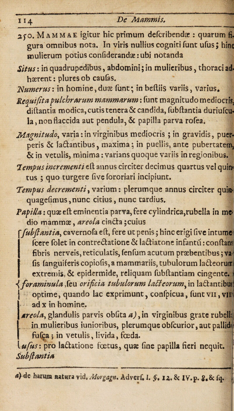 114 De Mammis, 250. Mammae igitur hic primum defcribendte : quarum fi. gura omnibus nota. In viris nullius cogniti funt ufus | hinc mulierum potius confiderandae rubi notanda Situs: in quadrupedibus, abdomini; in mulieribus , thoraci ad- hcerent: plures ob caufas. JSlumerus: in homine,duas funt; in beftiis variis, varius* Requifitapulchrarum mammarum: funt magnitudo mediocris3 diftantia modica, cutis tenera Sc candida, fubftantia duriufcu- la, non flaccida aut pendula, & papilla parva rofea. Magnitudo, varia: in virginibus mediocris ; in gravidis, puer¬ peris & faCtantibus, maxima; in puellis, ante pubertatem, & in vetulis, minima: varians quoque variis in regionibus. tempus incrementi eft annus circiter decimus quartus vel quin» tus ; quo turgere fivs fororiari incipiunt. Tempus decrementi, varium: plerumque annus circiter quin* quagefimus,nunc citius, nunc tardius. Papilla: quaeefteminentia parva,fere cylindrica,rubella in mc« dio mammae, areola cincta ; cuius “'fubftantia, cavernofa eft, fere ut penis; hinc erigi five intume fcere folet in contrectatione & laftiatone infantil: conflant fibris nerveis,reticulatis, fenfum acutum praebentibus;va fis (anguiferis copiofis, a mammariis, tubulorum lafteorutr extremis, & epidermide, reliquam fubftantiam cingente. 1 \foraminulaXtu orificia tubulorum la5leorumfi\w ladantibut J optime, quando lac exprimunt, confpicua, funt vii, viih ad x in homine. areola, glandulis parvis oblita in virginibus grate rubelli in mulieribus iuoioribus, plerumque obfcurior, aut pallidi! fu Cea 5 in vetulis, livida, foeda. Vufius: pro lactatione foetus, quas fine papilla fieri nequit. Subficmtm