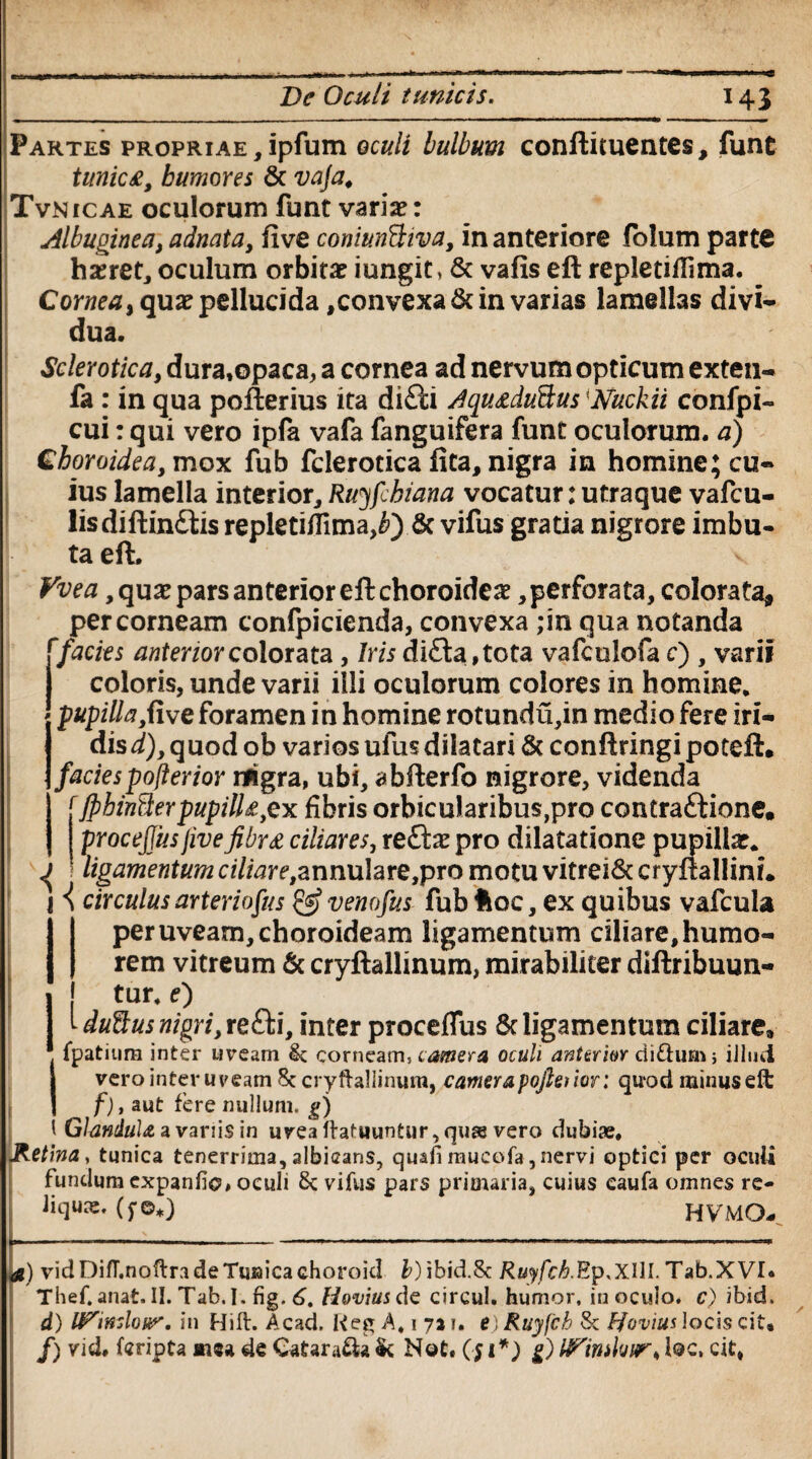 Partes propriae,ipfum oculi bulbum conftituentes, funt tunic£, humores & vaja. Tvnicae oculorum funt varia?: Albuginea, adnata, live coniunBiva, in anteriore folum parte ha?ret, oculum orbita? iungit, & vafis eft repletifilma. Corneat qua? pellucida,convexa & in varias lamellas divi* dua. Scler otica, dura,opaca, a cornea ad nervum opticum exten- fa : in qua pofterius ita di£ti Jqusdutlus Nuckii confpi- cui: qui vero ipfa vafa fanguifera funt oculorum, a) Ghoroidea, mox fub fderotica fita, nigra in homine; cu¬ ius lamella interior, Ruyfchiana vocatur: utraque vafcu- lisdiftin&is repletiiTima,^) & vifus gratia nigrore imbu¬ ta eft. Vvea, qua? pars anterior eft choroidea?, perforata, colorata, per corneam confpicienda, convexa ;in qua notanda ffacies anterior colorata, Iris di£la,tota vafcolofa c) , varii J coloris, unde varii illi oculorum colores in homine. pupilla,five foramen in homine rotundu,in medio fere ivi- disd), quod ob varios ufusdilatari & conftringipoteft. faciespoflerior rrigra, ubi, abfterfo nigrore, videnda rJpbinSerpupilU,Qx fibris orbicularibus,pro contraftione, | procejjusjivefibr£ ciliares, refta? pro dilatatione pupilla?. ^ } ligamentum ciliar e,annuhte,pro motu vitre i& cryftallini. I { circulus art er iofu s & venofus fub ftoc, ex quibus vafcula I per uveam, choroideam ligamentum ciliare, humo¬ rem vitreum & cryftallinum, mirabiliter diftribuun- 1 tur- 0 t ductus nigri, recti, inter proceflus & ligamentum ciliare, fpatium inter uveam corneam, camera oculi anterm riiftum; illud vero inter uveam 8c cryftallinum, camera poftetior; quod minus elt f), aut fere nullum, g) Glandula a variis in uvea ftatuuntur,qu?e vero dubiae. Retina, tunica tenerrima, albicans, quali mucofa, nervi optici per oculi fundum expanfio, oculi vifus pars primaria, cuius caufa omnes re¬ liqua:, ($•©*) HVMO- vidDifT.noftradeTimicachoroid b) ibid.Sc Ruyfch.Ep^XlU. Tab.XVI. Thef. anat. II. Tab.I. fig. 6, Hovius de circul. humor, inoculo, c) ibid, d) l^mslour. in Hift. Acad. Reg A, 1 711. e)Ruyfcb 8c bfovimlocis cit. /) vid» fcripta mea de Catara£k & Not. (f 1*) g) UPimluir^ loc, cit,