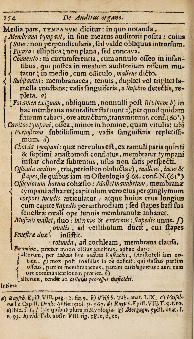 Media pars, tympanvm dicitur: in quo notanda, r Membrana tympani, in fine meatus auditorii polita : cuius (Situs:non perpendicularis,fed valde obliquus introrfum. Figura: elliptica; non plana, fed concava. Connexio: in circumferentia, cumannulo odeo in infan¬ tibus , qui poftea in meatum auditorium odeum mu- { tatur; in medio, cum odlculo, malleus difto. ^ j Subjiantia: membranacea, tenuis,duplici vel triplici la¬ mella conflans: vafis fanguiferis # a Rufcbio deteflis, re¬ pleta. a) Foramen exiguum, obliquum, nonnulli pod Rivinum h) in hac membrana naturaliter datuunt c),per quod quidam fumum tabaci, ore attra£lum,transmittunt. conf.(6o*.) [Cavitas tympani, odea, minor in homine, quam vitulis: ubi Periofmtm fubtilidimum, vafis fanguiferis repletifli- mum. d) Chorda tympani: qux nervulus eft, ex ramuli paris quinti & feptimi anaftomofi conflatus,membrana: tympani indar chordae fubtentus, ufus non fatis perfpedli. OJficula auditus, tria,periodeo obdufla e), malleus, incus St ftapes,de quibus iam in Ofteologia $- 68. conf. N.(6i*) Ojjicuiomm horum cohaefio: Mallei manubrium, membranae \ tympani adhsret; capitulum vero eius per ginglymum corpori incudis articulatur : atque huius crus longius cum capite(iapedis perarfhrodiam ; fed dapes bad fua feneftra: ovali ope tenuis membranulae inhaeret. Mufculimallei, duo; internus & externus: fiapedis unus. /) j ovalis , ad vedibulum ducit, cui dapes Feneftra du&{ infidit. Irottmda, ad cochleam, membrana daufa. Foramina, prseter modo diQ-as teneftras, adhuc duo: (alterum, per tubam five du&um Euftachii, (Ariftoteli iam ne», j tum, g) mox poli tonffilas in os definiti qui du&uS partim J offeus, partim membranaceus, partim cartilagineus : auri cuna j ore communicationem prasbet. h) lalterum, tendit ad cellulas frocejjiis ihafioidei. Intima a) Ruyfcb. Epift.VIII.pag.12. fig.9, h) IFeifcb. Tab. anat. LIX. c) FalfaU va l.c.Cap.lL Urake Anthropol. p. f67. d) Ruy/ch.Epift.VIII.T.q.f.io. c) ibid. f i* / ) de quibus plura in Myologia. g) Morgagn, epift. anat. I*