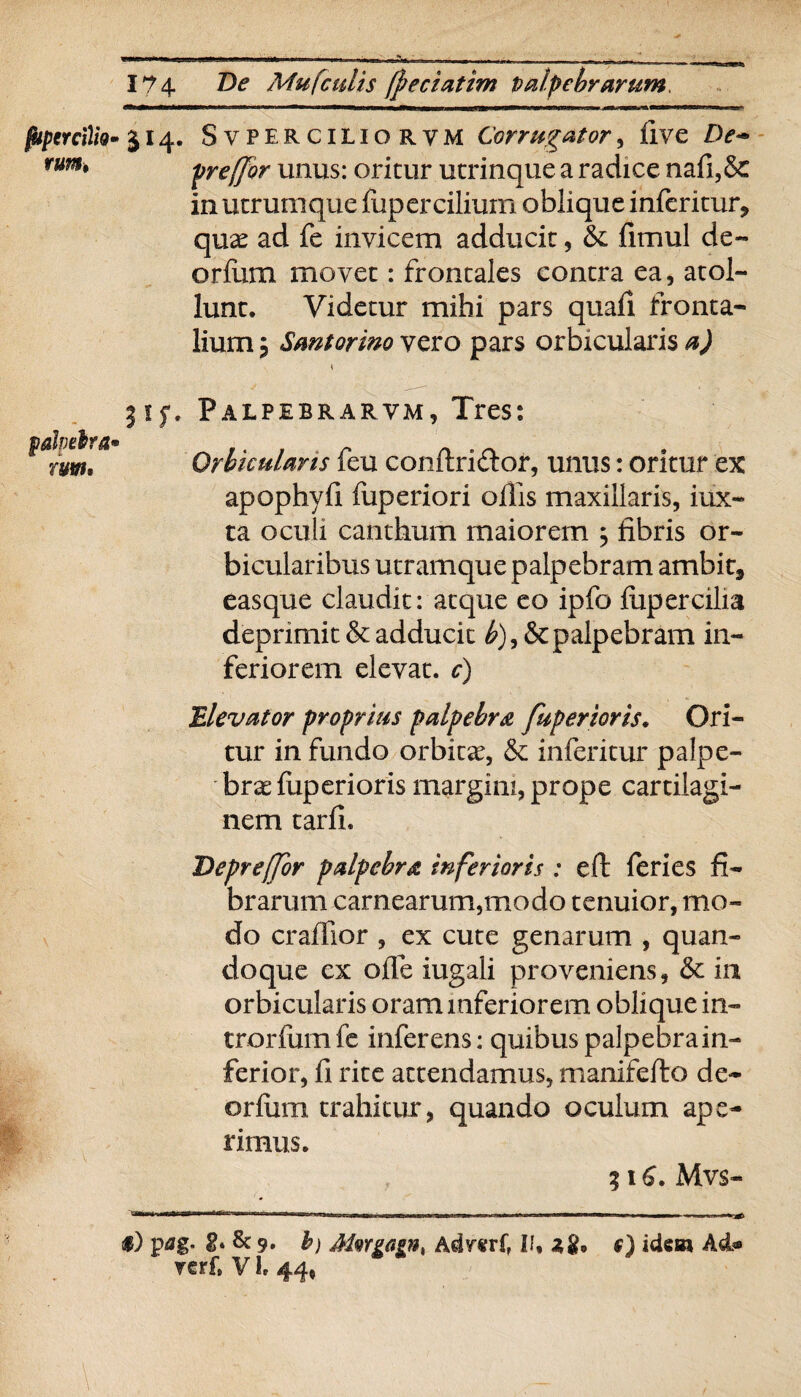 fUptrcilh rumt palpebra rum. 174 De Mufculis (peciatim Palpebrarum. 514. SvPERCiLio rvm Corrugator, live De- preffor unus: oritur utrinque a radice nafi,& in utrumque fupercilium oblique infcritur* quae ad fe invicem adducit, & fimul de- orfum movet: frontales contra ea, atol- lunt. Videtur mihi pars quali fronta¬ lium p Santorino vero pars orbicularis a) \ $if. Palpebrarvm, Tres: Orbicularis feu conftri&or, unus: oritur ex apophyli fuperiori ollis maxillaris, iux- ta oculi canthum maiorem , libris or¬ bicularibus utram que palpebram ambit* easque claudit: atque eo ipfo liipercilia deprimit & adducit b)9&c palpebram in¬ feriorem elevat, c) .Elevator proprius palpebra fuperioris. Ori¬ tur in fundo orbita, & inferitur palpe¬ brae luperioris margini, prope cartilagi¬ nem tarli. Deprejfor palpebra inferioris : dr feries fi¬ brarum carnearum,modo tenuior, mo¬ do craffior , ex cute genarum , quan¬ doque ex olle iugali proveniens, & in orbicularis oram inferiorem oblique in- trorfumfe inferens: quibuspalpebrain- ferior, fi rite attendamus, manifefto de- orliim trahitur, quando oculum ape¬ rimus. % 16. Mvs- ■n.M.w.ir»*..--- .. ... , ... . ... ■ . I -1—11 - «) P^g- B* & 9. b) MwMin% Admf, II, O idem Ad?» rerf» V1, 44,