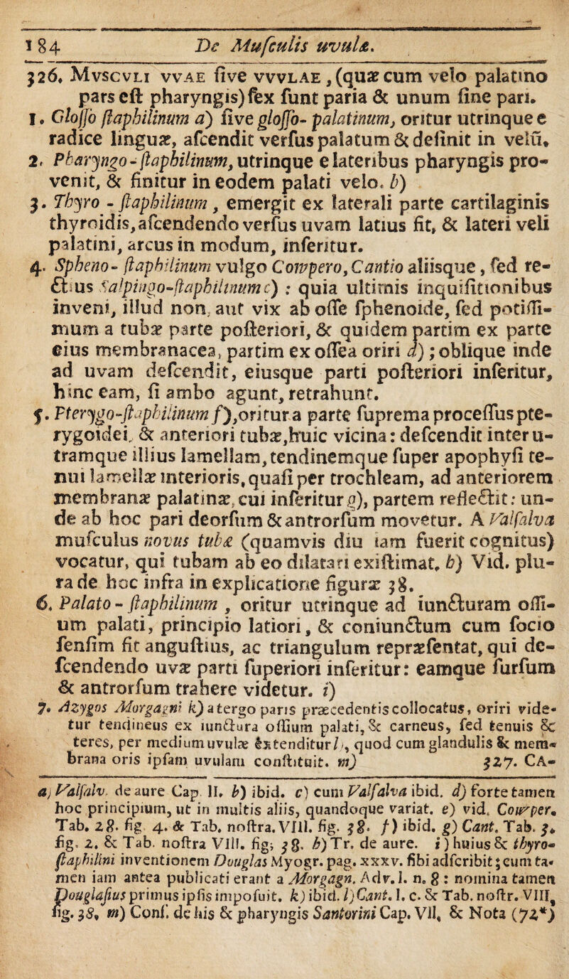 J26. Mvscvli vvae five vvvlae , (quae cum velo palatino pars cft pharyngis) fex funt paria 6t unum fine pari. I, Cflo/jb flaphilinum a) five glofjb- palatinum, oritur utrmque e radice lingua, afcendit verius palatum & definit in velu. 2* Pbaryngo-jlapbilinum,utrinque e lateribus pharyngis pro* venit, & finitur in eodem palati veio, b) J. Tbyro - ftaphilmum, emergit ex laterali parte cartilaginis thyroidis,afcendendoverfusuvam latius fit» & lateri veli palatini, arcus in modum, inferitur. 4. Spheno- jlapbilmum vulgo Coivpero, Cantio aliisque, fed re- £tms Salpingo-fiaphilinumc) ; quia ultimis inquifitionibus inveni, illud non, aut vix ab offe fphenoide, fed poti/li¬ mum a tuba? parte poftenori, 6c quidem partim ex parte eius membranacea, partim ex oflea oriri d); oblique inde ad uvam defcendit, eiusque parti poftsriori inferitur, hinc eam, fi ambo agunt, retrahunt. 5. Fterygo-ftuphilinum/),oritur a parte fupremaproceffuspte¬ rygoidei^ & anteriori tubae,huic vicina: defcendit interu- tramque illius lamellam, tendinemque fuper apophyfi te¬ nui lamella interioris, quali per trochleam, ad anteriorem membranae palatine, cui inferitur ^), partem refle&it: un¬ de ab hoc pari deorfum Scantrorfum movetur. A Falfalva mufcuius novus tub£ (quamvis diu tam fuerit cognitus) vocatur, qui tubam ab eo dilatari exiftimat, b) Vid. plu¬ ra de hoc infra in explicatione figurae 58. 6. Palato - flaphilinum , oritur utrinque ad iunfturam 01T1- um palati, principio latiori, & conranQium cura focio fenfim fitanguftius, ac triangulum repraefentat, qui dc- fcendendo nvx parti fuperiori inferitur: eamque furfum & antrorfum trahere videtur, i) 7« Azygos Jiorgagw ii) a tergo paris praecedentis collocatus, oriri vide* tur tendineus ex iun&ura ofTiutn palati. St carneus, fed tenuis Se teres, per medium uvulae Extenditur//, quod cum glandulis &c mera® brana oris ipfatn uvulam conftituit. nt) $27. CA- mw.» ' .. ir. 1 .1 , I. , ,.„.1, ■ — , - - ■ ... - 1 ■■ —— ^nw--n ■ — djtfaifaiv- de aure Cap II» b) ibid. c) cum Falfalva ibid. d) forte tament hoc principium, ut in multis aliis, quandoque variat, e) vid. Coirper* Tab. 28. fig 4. & Tab. noftra. VIII. hg. /) ibid. g) Cant. Tab. fig, 2. &t Tab. noftra Vili, figi <»g, A)Tr. de aure, i) huius8c tbyro- flaphilini inventionem Duuglas Myogr. pag. xxxv. fabi adferibit 5 eum ta¬ men iam antea publicati erant a Morgagn. Adv. I. ne g : nomina tamett pouglajius primus iplisimpofuit. k) ibid. IjCant, I, c. St Tab. noftr. VIIff iig. 35* *») Conf. de his fk pharyngis Santmni Cap, VII, & Nota (72*)