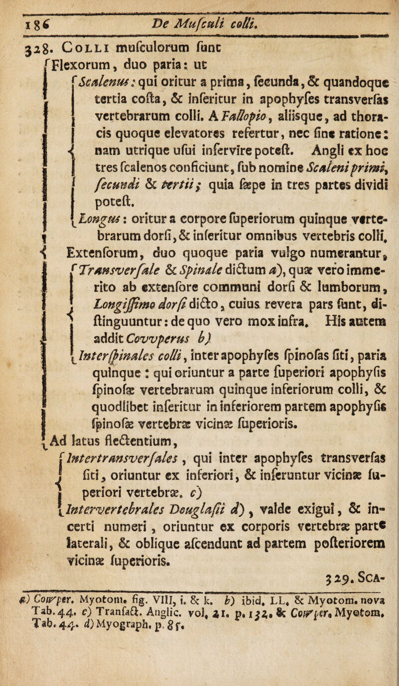 \ i 328- Colli mufculorum fune rFlexorum, duo paria s ut 'Sedentes: qui oritur a prima, fecunda, & quandoque tertia cofta, & inferitur in apophyfes transverfas vertebrarum colli, AFaffopio, aliisque, ad thora¬ cis quoque elevatores refertur , nec fin« ratione : nam utrique ufui infemre poteft. Angli ex hoe tres fcalenos conficiunt, fub nomine Scdeniprimiy fecundi & tertii; quia fepe in tres partes dividi poteft. Longus: oritur s corpore fuperiorum quinque verte¬ brarum dorft,& inferitur omnibus vertebris colli, Extenforum, duo quoque paria vulgo numerantur9 rTramverfde &c Spinale di&um #), qua? vero imme¬ rito ab extenfore communi dorfi & lumborum, Longiffimo dor (i & i&o, cuius revera pars funt, di- ftinguuntur: de quo vero mox infra. His autem addit Covvperus b) ^Jnt er (b indes colli, interapophyfes fpinofas fiti, paria quinque : qui oriuntur a parte fuperiori apophyfis fpinofe vertebrarum quinque inferiorum colli, & quodiibet inferitur in inferiorem partem apophyfis fpinofe vertebra vicina fuperioris. Ad latus fle&entium, i i 1 < Intertrmsverfdes, qui inter apophyfes transverfas fiti j oriuntur ex inferiori , & inferuntur vicinse fu- j periori vertebra, c) \lntervertebrdes Dmglafii d) y valde exigui , & in¬ certi numeri , oriuntur ex corporis vertebrse part® laterali, & oblique afeendunt ad partem pofteriorem vicina fuperioris. 329. Sca- $) Courper. Myotorn. fig. VIII, i. & k, b) ibid, LL, Myotom. nova Tab, 44. c) Tranfaft. Angliq. voJ, 21, p, 132» & CoiPper* My©tom, T^b*44. d)Myograph. p.gf.