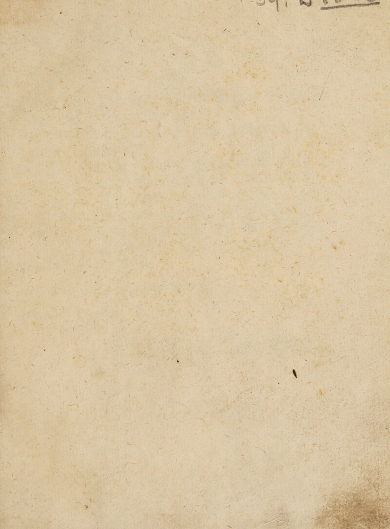 ( l ( * \ / > - / ) '■ i * ( \ / i ) \ / ' / < >- •/ - ' 1 \ ■ > • v ■ - ?-■: '■?