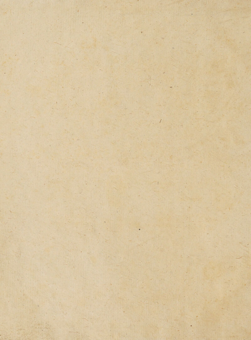 } V« V v / V r- / ) ’ I. \ -1 > 'L. - • •4 i, . \ - I 1 'S. '