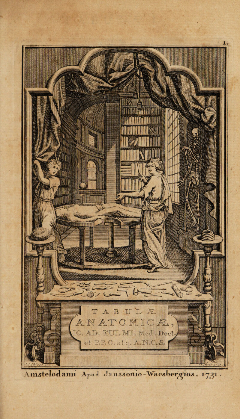 jgl T A B .17 L A. N AT P M E IO. ADoRILM:! !UU HLJif' I:gg s 8 gfpi SSlBI \ irustelo f{ ami Aj>u rl. . * :> i \ .s.s omo W,i o.s lirro io.s , .