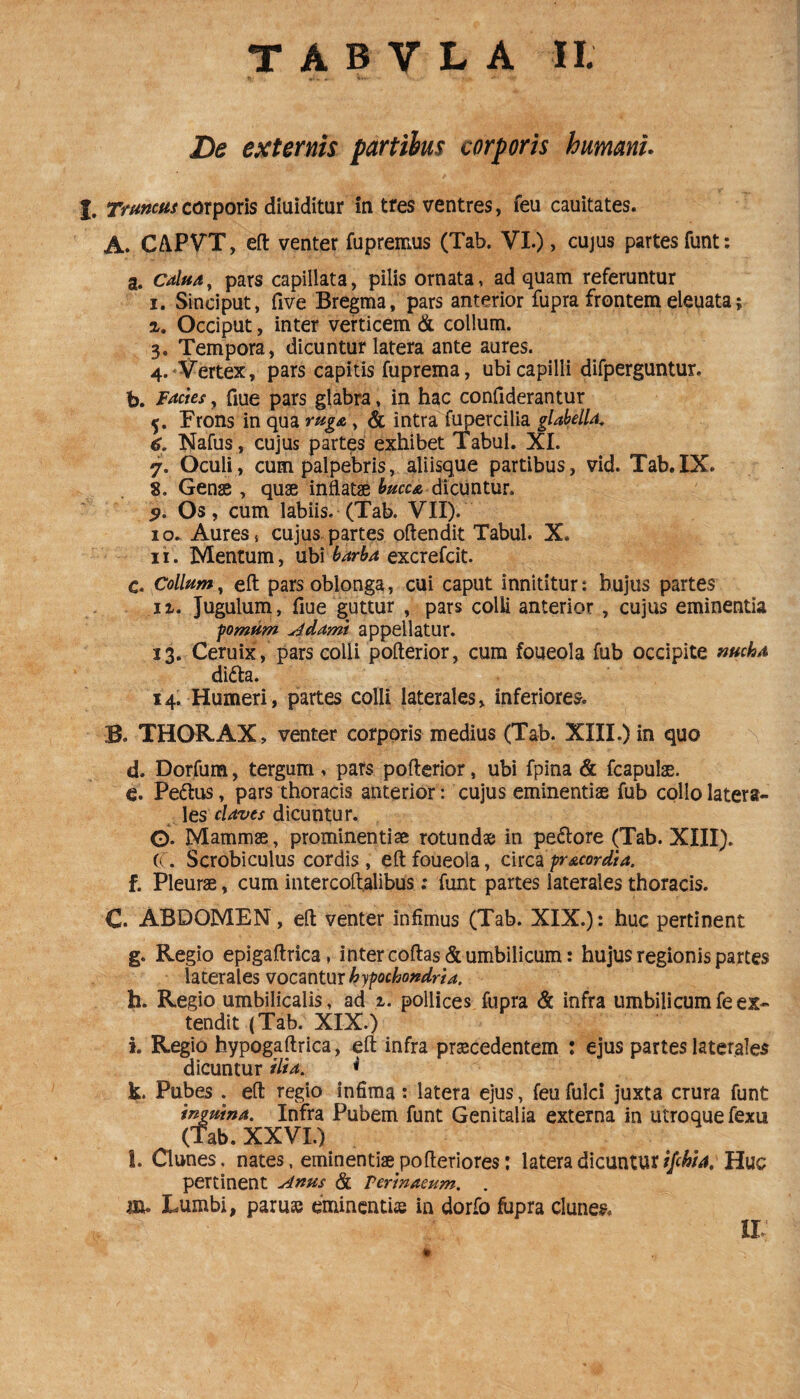 De externis partibus corporis humani X. Truncus corporis diuiditur in tres ventres, feu cauitates. A. CAPVT, eft venter fupremus (Tab. VI.), cujus partes funt: a. calua, pars capillata, pilis ornata, ad quam referuntur 1. Sinciput, five Bregma, pars anterior fupra frontem eleuata; 2. Occiput, inter verticem & collum. 3. Tempora, dicuntur latera ante aures. 4. Vertex, pars capitis fuprema, ubi capilli difperguntur. b. Facies, fiue pars glabra , in hac confiderantur 5. Frons in qua ruga, & intra fu perci lia glabella. 6. Nafus, cujus partes exhibet Tabui. XI. 7. Oculi, cum palpebris, aliisque partibus, vid. Tab.IX. 8. Genae , quae inflatae bucca dicuntur. 7. Os, cum labiis. (Tab. VII). 10. Aures, cujus partes oftendit Tabui. X. 11. Mentum, ubi barba excrefcit. c. Collum, eft pars oblonga, cui caput innititur: hujus partes 11. Jugulum, fiue guttur , pars colli anterior , cujus eminentia pmum Adami appellatur. 13. Ceruix, pars colli pofterior, cum foueola fub occipite nucha dida. 14. Humeri, partes colli laterales, inferiores. B. THORAX, venter corporis medius (Tab. XIII.) in quo d. Dorfum, tergum , pars pofterior, ubi fpina & fcapulae. e. Pedus, pars thoracis anterior: cujus eminentiae fub collo latera¬ les claves dicuntur. ©. Mammae, prominentiae rotundae in pedore (Tab. XIII). (C. Scrobiculus cordis, eft foueola, circa pr&cordia, f. Pleurae, cum intercoftalibus: funt partes laterales thoracis. C. ABDOMEN, eft venter infimus (Tab. XIX.): huc pertinent g. Regio epigaftrica, inter coftas& umbilicum: hujus regionis partes laterales vocantur hypochondria. h. Regio umbilicalis, ad 1. pollices fupra & infra umbilicumfeex¬ tendit (Tab. XIX.) i. Regio hypogaftrica, eft infra praecedentem : ejus partes laterales dicuntur ilia. * k. Pubes . eft regio infima: latera ejus, feu fulci juxta crura funt tnguina. Infra Pubem funt Genitalia externa in utroque fexu (Tab. XXVI.) l. Clunes, nates, eminentiae pofteriores: latera dicuntur ifchia, Huc pertinent Anus & Terinaeum. . m. Lumbi, paruse eminentis: in dorfo fupra clunes. II
