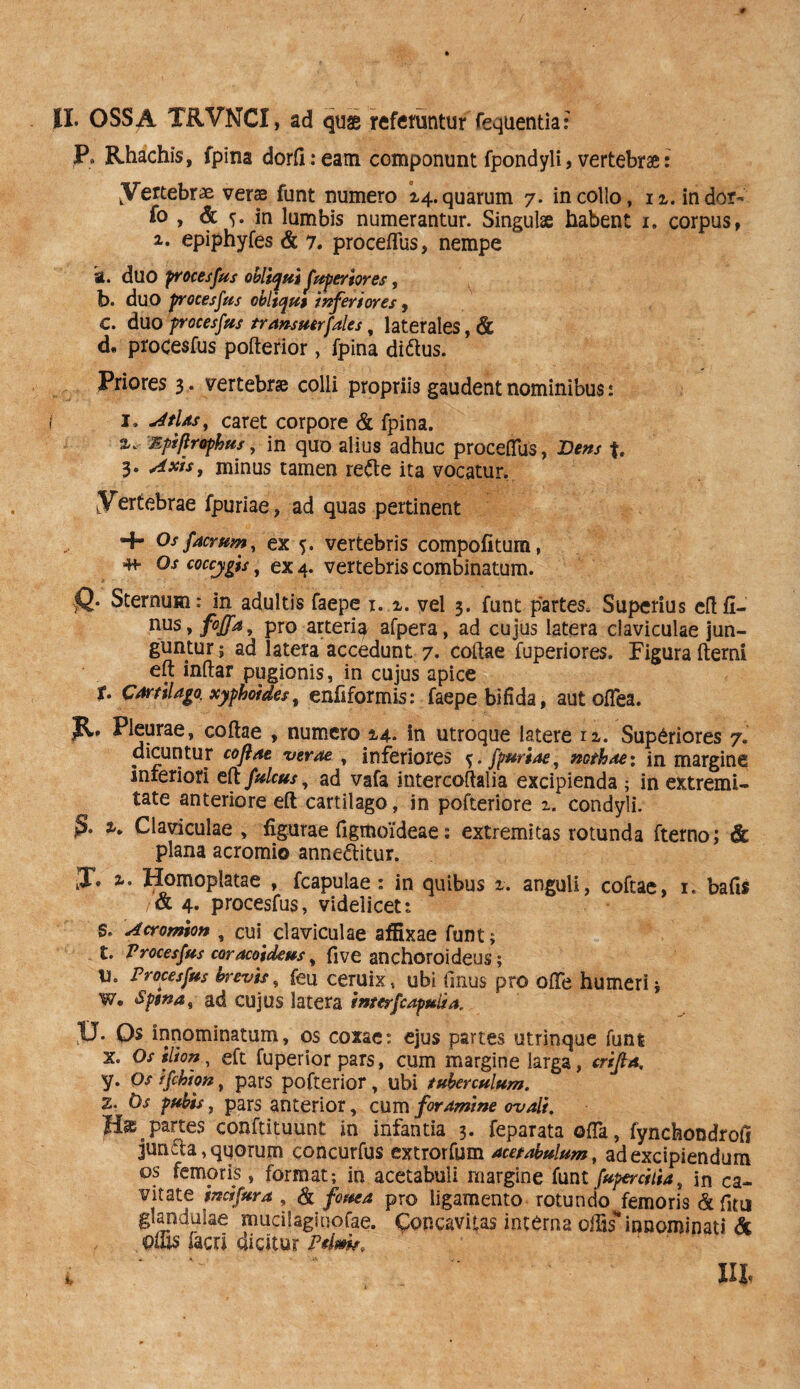P* Rhachis, fpina dorfi:eam componunt fpondyli, vertebrae: [Vertebrae veras funt numero 14. quarum 7. in collo, iz. indor- fo , & s- in lumbis numerantur. Singulae habent i. corpus, i. epiphyfes & 7. proceflus, nempe k. duo procesfus obliqui fupergores, b. duo procesfus obliqui inferiores, C. duo procesfus transuetfales, laterales, & d, procesfus poderior, fpina di&us. Priores 3. vertebrae colli propriis gaudent nominibus: 1, Atlas, caret corpore & fpina. Mpiflrophus, in quo alius adhuc procefTus, JDens t. 3. minus tamen refte ita vocatur. ertebrae fpuriae, ad quas pertinent 4- Osfaerum, ex 5. vertebris compofitum, Os coccygis, ex 4. vertebris combinatum. >Q- Sternum: in adultis faepe x. i. vel 3. funt partes. Superius edfi- nus, w*, pro arteria afpera, ad cujus latera claviculae jun¬ guntur ; ad latera accedunt 7- codae fuperiores. Figura fterni eft indar pugionis, in cujus apice t. Cartilago, xyphoides, enfiformis: faepe bifida, aut ofTea. JC Pleurae, codae , numero 14. in utroque latere iz. Superiores 7. dicuntur cofiae verae , inferiores fpuriae, nothae; in margine inferiori eftfulcus, ad vafa intercodalia excipienda ; in extremi¬ tate anteriore eft cartilago, in pofteriore z. condyli. 2». Claviculae, figurae dgmoideae: extremitas rotunda fterno; 6c plana acromio anne&itur. J. %. Homoplatae , fcapulae : in quibus z. anguli, coftae, 1. bafis /& 4. procesfus, videlicet: S. Acromion , cui. claviculae affixae funt; t. Procesfus coracoideus, five an choroideus; 11. Procesfus brevis, feu ceruix s ubi (Inus pro ode humeri i W, spina, ad cujus latera inter [capuli a. U. Os innominatum, os coxae: ejus partes utrinque funt x. Osilion, eft fuperior pars, cum margine larga, crifta. y. Os ffchion, pars pofterior, ubi tuberculum. z. Os pubis, pars anterior, cum foramine ovali. ffe. partes conftituunt in infantia 3. feparata oda, fynchondrofi jun fla, qqorum concurfus extrorfum acetabulum, ad excipiendum os femoris, format; in acetabuli margine funtfuperdiia, in ca¬ vitate incifura , & fcuea pro ligamento rotundo femoris & fitu glandulae mucilaginofae. Concavitas interna offis*innominati & offis facri dicitur PtMr. m