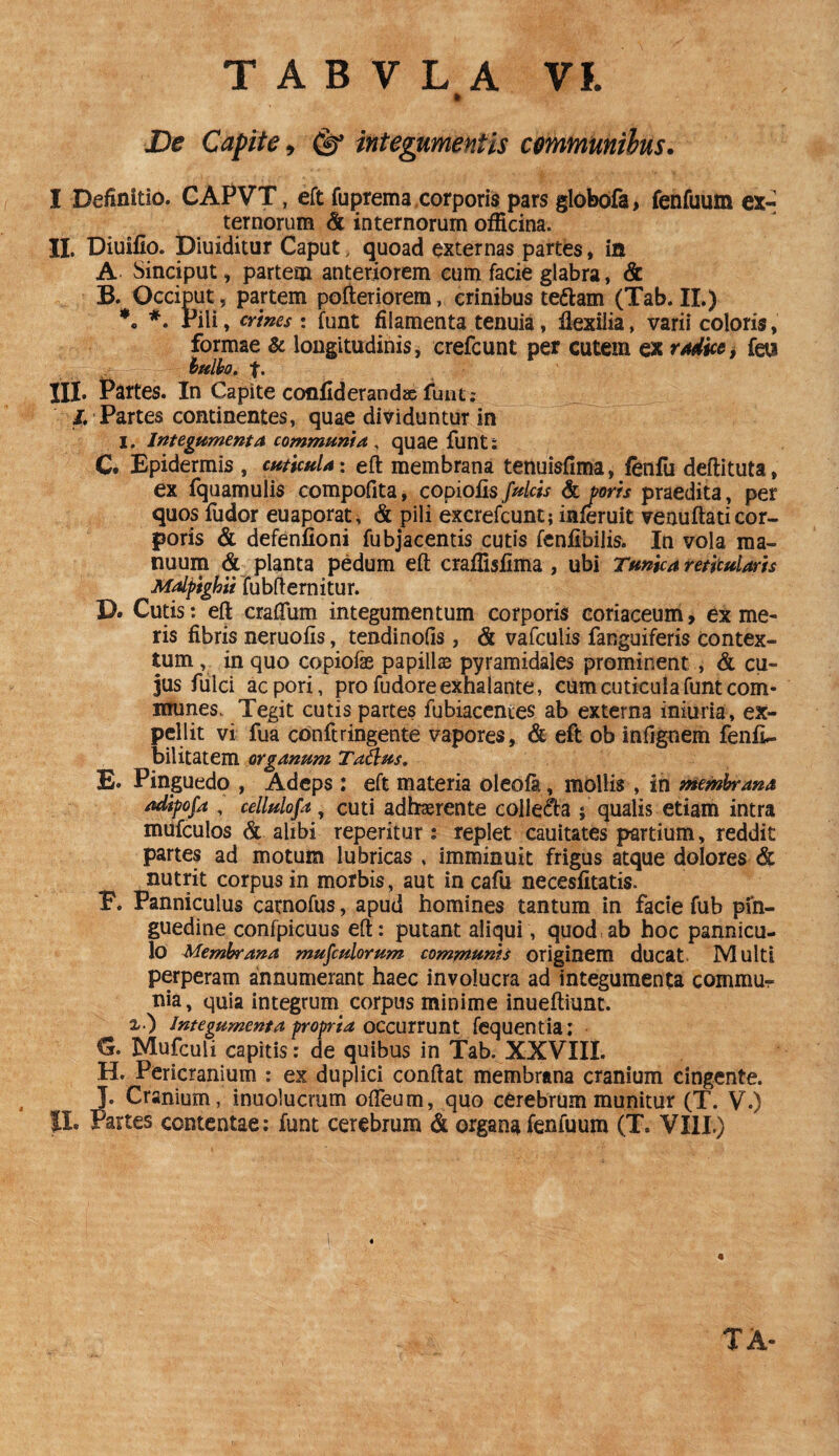 » De Capite, 0 integumentis communibus. I Definitio. CAPVT, eft fuprema corporis pars globofa > fenfuum ex- ternorum & internorum officina. II. Diuiflo. Diuiditur Caput, quoad externas partes, in A Sinciput, partem anteriorem eum facie glabra, & B. Occiput, partem pofteriorem, crinibus teftam (Tab. II.) *• Pili, crines : funt filamenta tenuia, flexilia, varii coloris, formae & longitudinis, crefcunt per cutem ex radice, feu bulbo, f. III. Partes. In Capite conflderandae funt; /. Partes continentes, quae dividuntur in I, Integumenta communia , quae funt: C. Epidermis , cuticula: eft membrana tenuisfima, lenfu deftituta, ex fquamulis compofita, copiofisfulcis & poris praedita, per quos fudor euaporat, & pili excrefcunt; inferuit venuftati cor¬ poris & defenfioni fubjacentis cutis fenflbilis. In vola ma¬ nuum & planta pedum eft craffisflma , ubi Tunica reticularis Malpighii fubfternitur. X). Cutis: eft cradum integumentum corporis coriaceum, ex me¬ ris fibris neruofis, tendinofis, & vafculis fanguiferis contex¬ tum , in quo copiofae papillas pyramidales prominent , & cu¬ jus fulci acpori, pro fudore exhalante, cum cuticula funt com¬ munes, Tegit cutis partes fubiacenies ab externa iniuria, ex¬ pellit vi fua conftringente vapores, & eft ob infignem fenfl- bilitatem organum Talius, E. Pinguedo , Adeps: eft materia oleofa, mollis , in membrana adipofa , cellulofa, cuti adhaerente collega s qualis etiam intra mufculos & alibi reperitur: replet cauitates partium, reddit partes ad motum lubricas , imminuit frigus atque dolores & nutrit corpus in morbis, aut in cafu necesfitatis. E. Panniculus catnofus, apud homines tantum in facie fub pin¬ guedine confpicuus eft: putant aliqui, quod ab hoc pannicu¬ lo Membrana mufculorum communis originem ducat. Multi perperam annumerant haec involucra ad integumenta commur nia, quia integrum corpus minime inueftiunt. &•) Integumenta propria occurrunt fequentia: Mufculi capitis: de quibus in Tab. XXVIII. H. Pericranium : ex duplici conftat membrana cranium cingente. J- Cranium, inuolucmm ofteum, quo cerebrum munitur (T. V.) II, Partes contentae: funt cerebrum & organa fenfuum (T. VIII.)