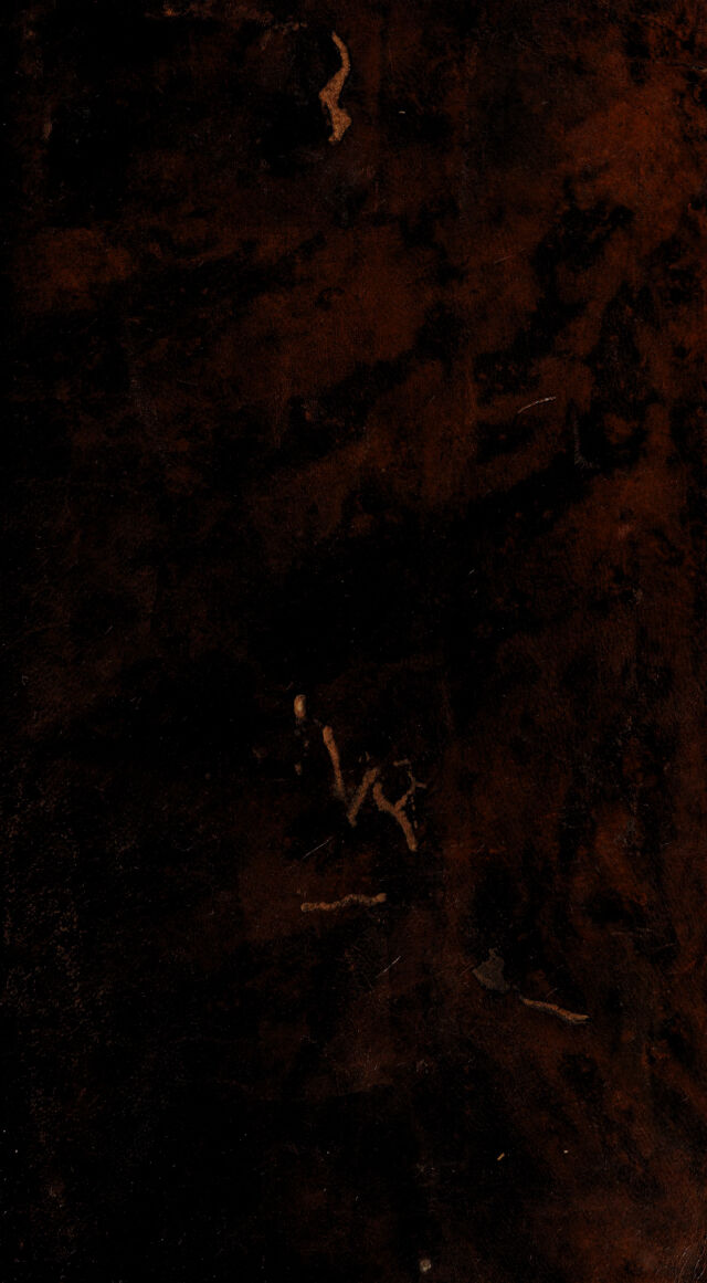 digitised image 1