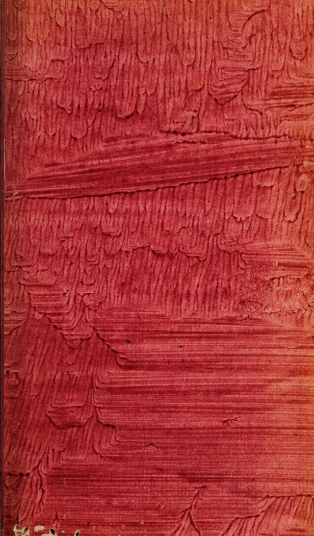 digitised image 3
