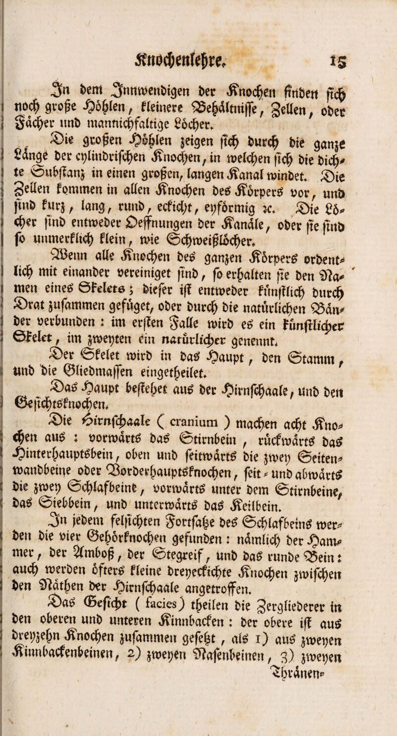 ■3« bent ^m^nbigen ber «Shecbot ftttöc« ffcö noc|t große ©ofjlen, Heinere 55e^Utttt(fe, gellen, ober I Sieber unb mannigfaltige Söcber. ©ie großen ©efflen 5eigen ftcb burd) bie ganje i Singe ber cplinbvifcben Änocijen, in melden jtcb bie bicf)* te ©ttbfian} in einen großen, (angen jfana[ roinbet> ^ie gellen fomtnenin allen «Knochen beS «KfoperS vor, unb jtnb für}, lang, runb, ecftcljt, epfbrmig k. k>ie S6» ) cf)er ftnb enttveber £>ejfnungen ber Kanäle, ober tte ftnö fo unmerfiid) flein, tvie ©ebweißlbeber, •3Betm alle «Knochen beS gan}en Körpers erbend lieb mit einanber vereiniget ftnb, fo erbalten fte ben i)7a* ' i men eines ©Feiere 5 biefer t(f enttveber ffmßlicb btircf) ®rat jufammen gefnget, ober bttreb bie natürlichen S5an* ber verbunben : im erffen Salle tvirb es ein Funftlicpec ©feiet, im _}tvet)ten ein natürlicher getrennt. ©er ©feiet tvirb in baS £aupt, ben ©tamm. ltnb bie ©liebmaffen eingetbeilet, ©aS ©anpt beftebet aus ber ©irnfcbaale, Unb bert J Gk|tcbtsfneclien, ©ie 6irnf<baale ( cranium ) machen acht Äno<> ^en aus : vorwärts baS ©tirnbein , rücfwartS baS •Hinterhauptsbein, oben unb feitwärtS bie }wep ©eiten» i tvanbbeine^ober Q3orberbauptSfnocben, feit * unb a&martS bie }wet) ©d)!afbcint, vorwärts unter bem ©tirnbeine, baS ©iebbein, unb unterwärts baS «Keilbein. 3« iebem felficftten Sortfaße beS ©cblafbetnS wer» ben bie vier ©ehorfnocbm gefunden: namitei} ber ©am* mer, ber Sfmbttß, ber ©tegreif, unb baS runbe Q5ein t auch werben öfters fleine brepeefiebte Knochen }wifcbett J ben Sfätben ber ©irttfcbaale angetroffen. ©aS (Beftcbt ( facies) t&eilett bie gerglieberer in I ben oberen unb unteren «Kimtbacfen: ber obere iff aus bret;}ebn Knochen }ufammeu gefefjt, als 1) aus gwepen .ntnnl>acfenteinmf 2) $tt>et)£u 9?afenfrdnen, 3) ©witten*