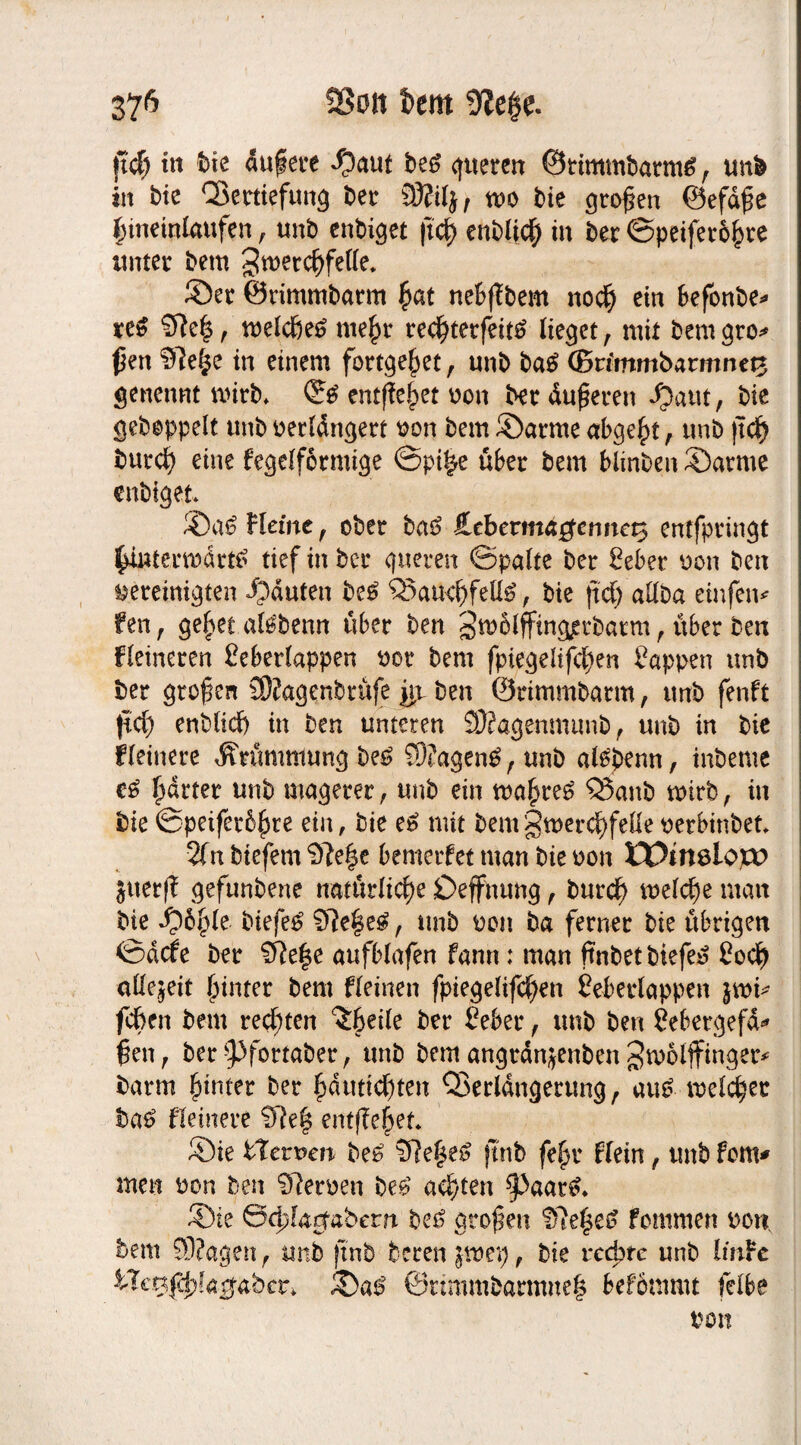 ftcf) in bie aufere $aut be6 queren ©timmbarms, unb in bic Vertiefung bet 93?ify, wo bie großen ©efdße hineinlaufen, unb enbiget ficf> enblich in ber ©peifet&hre unter bem Jwercfjfelle. ©er ©rimmbarm ^at neßßbem noch ein befonbe* re£ SFJeh r welche^ mehr red)tetfeit£ Heget, mit bem gto* ßen 9?e^c in einem fortgehet t unb bae> ©rimmbarmnet3 jenennt wirb* entfielet non ber Äußeren $)ant, bie gehoppelt unb verlängert von bem ©arme abgeht, unb )Tcf) burch eine kegelförmige ©pi|e über bem biinben ©arme enbiget ©a£ Heine , ober bas? £cbevmagennet$ entfpringt hinterwärts? tief in ber queren ©palte ber Sebet von ben vereinigten bauten be£ Vauchfeüg, bie ftd) allba einfen* fett r geltet al^benn über ben S^blfftng^rbarm f über ben Heineren Seberlappen vor bem fpiegelifcl)en Sappen unb ber großen SOJagenbrüfe gt ben ©rimmbarm, unb fenft ftcß enblich in ben unteren Sttagenmunb, unb in bie Heinere Krümmung bes? 9J?agen£ f unb al^benn, inbente c6 ßdrter unb magerer, unb ein wahret Vanb wirb, in bie ©peiferbßre ein, bie e£ mit bem gwerchfelle verbinbet* 2fn biefem 9?e|e bemerket man bie non H9in6lo)CD juerß gefunbene natürliche £>effnung , burch welche man bie biefe£ 9?e|e$ f unb von ba ferner bie übrigen ©ddfe ber aufblafen fann: man ffnbetbiefes? Soch allezeit hinter bem fleinen fpiegelifcßen Seberlappen jwi* fdben bem rechten ^6ei(e ber Seber, unb ben Sebergefd* ßen, ber ^)fortaber , unb bem angrdn^enben Jwolffinger* barm hinter ber häuttchten Verlängerung, au£ welcher ba£ Heinere 9?e| entfielet. ©ie hierum be£ S7eße£ ftnb feßr Hein f unb fom* men von ben 97erven be£ achten $>«ar& ©ie ©d^arfabem be£ großen Dleßes? fommen von. bem 9J?agen f unb ftnb bereu \xotCj, bie rechte unb linke Vtcgffyl&gfihevi ©ao5 ©nmmbarmne| bekömmt felbe