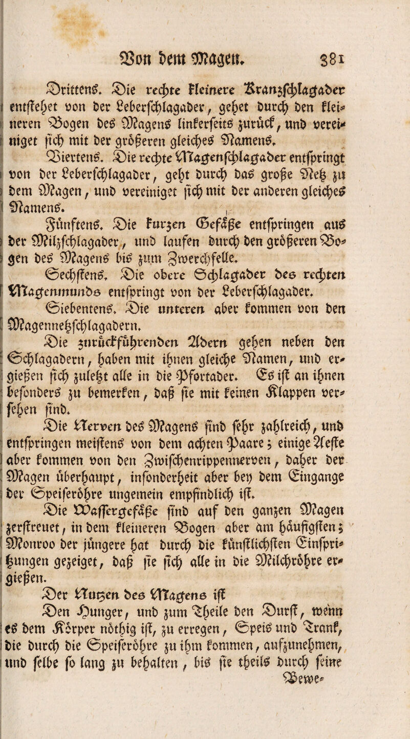 ©ritten^* ©ie rechte Heinere 3lr<tn$fc^tÄ^aber i entfielet von ber £eberfcf)tagaber, ge£et buccfy ben flei* i; neren 23ogen be£ 93?agen$ linferfeicö jttrücf, unb verei* i tilget jtdj mit ber größeren gleiche# 5ftamen& SBiertett& ©ie rechte Wa^enf^kgaber entspringt i von bei* £eberfct)(agaber, gef}t burct) ba£ große 9le| ju j bem SÄagett, imb vereiniget |t$ mit ber anberen gtei$e£ 19?amen6. Snnften^ ©ie Far$en ©efaße entfpringen ßu6 ; ber SOfit,)fcf)tagaber, tmb laufen burct} ben größeren S5o^ I gen be£ S0?agen£ bi$ jum 3wercl}felte* @ecf)f?en£, ©ie obere 0d)la0aber bee redeten [ yftagcnmunbs entfpringt von ber ?eberfct)tagaber* ©iebenten^ ©ie unteren aber fommen von ben l CD?agenne|fcf}tagaberm ©ie $urucffuf)renben 2(bern ge^en neben ben l ©ctjtagabern, £aben mit ijmen gleiche tarnen, tmb et* jj gießen ft cf} jule|t alte in bie §3fortaber* i(l an ifytwx : befonber£ ju bemerfen , baß fte mit feinen klappen ver* f fe^en ftnb* ©ie iterven be£ 93?agen£ (tnb fe^r ja^treid}, unb entfpringen meiften£ von bem achten ^aare; einige 2fefTe I aber fommen von ben ^wifcknrippemterven , baffer ber 9J?agen überhaupt, infonber^eit aber bep bem ©ngange i ber ©peifero^re ungemein empßnblicl) ifl ©ie EPaffer^efdße jt'nb auf ben ganzen 93Jagen 1 jerfTreuet f in bem fteiueren 33ogen aber gm ^duftgften; 1SWonroo ber jüngere fjat burct) bie fün|lücf)ften ©nfpri* jungen gejeiget, baß fte ftc^ alte in bie 93Wct)rbf)re er*» i gieren. ©er iXu^ett bce WTagene iff ©en ©unger r unb jum ^ßeite ben ©urff , trenn | e£ bem Äorper not^ig ift, in erregen, ©pet£ unb ^ranf, bie burd) bie ©peifero^re juifmi fommen, auf$une£men, unb fetbe fo fang ju begatten, bi£ fte t§eif£ burct} feine