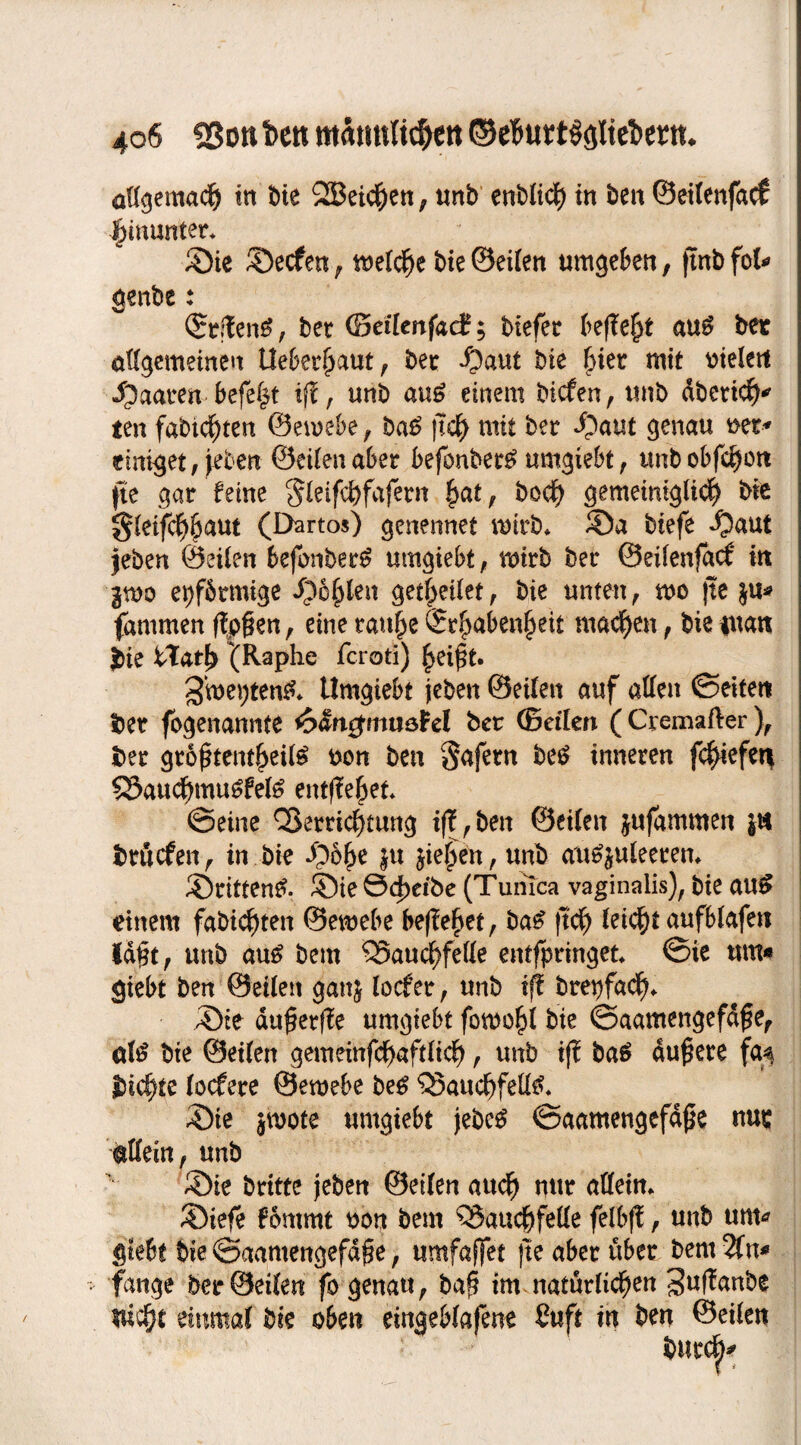 aHgemacf) in Oie 2Beid(jen, unb cnb(id) tn ben ©eitenfacf §munter* ©te ©ecfen , welche bie ©eilen umgeben, jtnb fol* genbe : (£rffenS, bet (Bdlcnfad; biefer aus bet allgemeinen Ueberßaut, bet $aut bie ßiet mit vielen ipaaten Defekt iff, unb auS einem bicfen , «nb dbettcß* ten fabtcßten ©emebe , baS |tcß mit bet ©aut genau «et* einiget,jeben ©eilenabet befonbet^umgiebt, unbobfcßott fte gat feine Sleifcßfajetn ßat, bocß gemeimglicß bie Sleifcfjßaut (Ehrtos) genennet wirb* ©a biefe ©aut jeben ©eilen befonberS umgiebt, wirb bet ©eilenfaef in gtvo eiförmige ©cßlen getßeilet, bie unten, tvo fte $u* farnmen ffpßen, eine tau£e Srßabenßeit machen, bie inan £ie iTatß (Raphe fcroti) ßeißt. SweptenS* Umgiebt jeben ©eilen auf allen ©eiten bet fogenannte 4>&ngmue$d bet ©eilen (Cremafter), bet größtenteils von ben $afetn beS inneren fcßiefen 53aucf)muSfelS entließet ©eine QSerricßtung iff,ben ©eilen jufammen jn btftcfen, in bie ©öße ju jießen, unb ausjuleetem ©rittenS. ©ie ©d)eibe (Tumca vaginalis), bie auS einem fabtcßten ©emebe beließet, baS jtcß leicßt aufblafen laßt, unb aus bem SSaucßfelle entspringet ©te um* giebt ben ©eilen ganj locfer, unb tff brepfacß. ©te dußetfle umgiebt fotvoßl bie ©aamengefdße, als bie ©eilen gemeinfcßaftlicf), unb iff baS äußere fa$ bicßte locfere ©eroebe beS ^SaucßfetlS* ©ie jroote umgiebt jebcS ©aamengefdße nur allein, unb ©ie Dritte jeben ©eilen aucf) mtt allein. ©iefe fömmt von bem QJaucßfelle felbfl, unb um* giebt Die ©aamengefdße, umfajfet fte aber übet bem An¬ fänge bet ©eilen fo genau, baß im natürlichen 3u(!anbe tucßt einmal bie oben eingeblafene ßuft in ben ©eilen