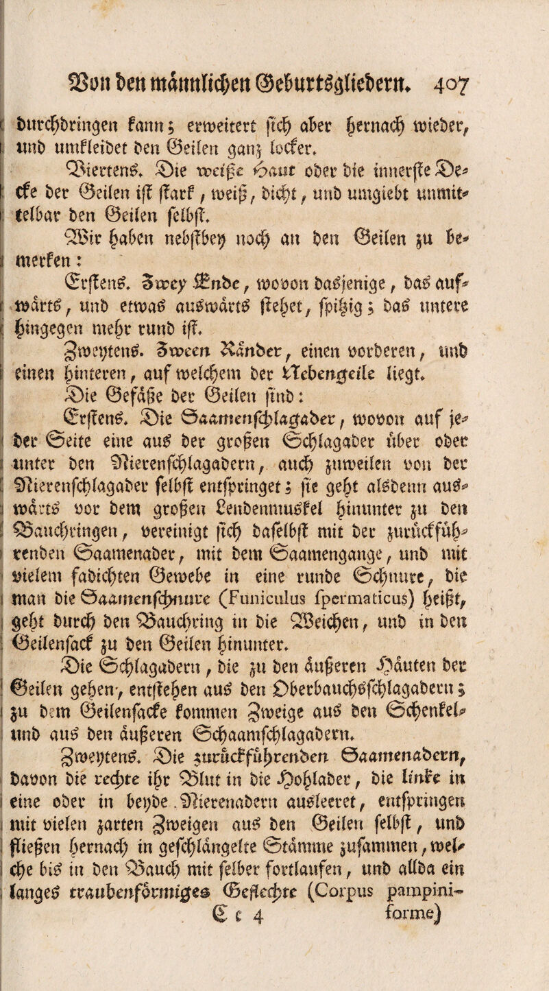 t bttrd)bringen fann; erweitert jtdj) aBer fjernad) lieber, 1 unb umfleibet ben ©eilen befer. Q>terten$. ©te roci$t h&nt ober bie innetfle ©e* : efe bet ©eilen i|T jlarf , mi$f bicfyt, unb umojtebt unmit* i: tefoar ben ©eilen feiB|1 2Bir §aBen neBjtbe^ uod) an ben ©eilen ju Be* werfen: ©rjten£. 3rreyi£nbe, wooon basjenige, ba^auf* f wdrt£, unb emm6 au^wdttg liefet, fpi|ig; ba£ untere i hingegen me£r runb tff* gwepten^. Sroeen Känbct, einen oorberen, unb I einen Hinteren, auf welchem ber iTebmgdle liegt ©ie ©efdße ber ©eilen fmb: ©rjTen& ©ie Saamenf^la^aber, mooon auf je^ < §tt @e^e eine au£ ber großen ©c^lagaber über ober unter ben $7terenfd)lagabern, and) juweilen non ber S Sdetenfd)lagaber felBft entfpringet; jte gefyt aföbetm au$* i wärt$ oor bem großen ßenbemuutffel hinunter ju ben ! 5Saucf)ringen, vereinigt |td) bafelBfl mit ber jurueffü^ renben ©aamenaber r mit bem ©aamengauge , unb mit • vielem fabic^ten ©eme&e in eine runbe ©djnure, bie l man bie ©aamenfefmore (Füniculus fpermaticus) \ gebt burcö ben SSaucfmng in bie OB eichen f unb in ben ! ©eilenfacf ju ben ©eilen hinunter. ©ie ©c^lagabern f bie ju ben duneren ©duten ber 1 ©eilen gefjen> entfielen au£ ben £>BerBau$tffcfylagabern; i ju bem ©eilenjdcfe fommen Zweige au£ ben @cf>enfel? unb au£ ben duneren ©dj>aamfd)lagabent gweptentf. ©ie *nrac£ful)rettben Öaamenaberrc, baoon bie redete ifyr Q5fut in bie i?o§laber, bie lm£e in Seine ober in Bepbe. SRterenabern audeeret, entfpringen ( mit liefen jarten gmeigen au£ ben ©eilen felbft f unb ! fließen öernad) in gefc^ldngelte ©tdmme jufammen, mU I d?e 6i£ in ben £3aud> mit felber fortlaufen, unb atlba ein ; langet tvauhenßmigc& (Befleckte (Corpus pampini- £c 4 forme)