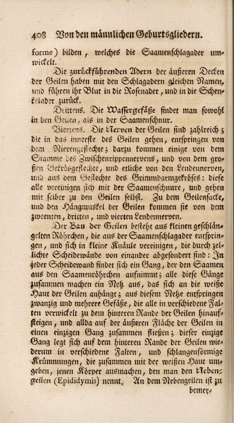 forme) Klben , tt>e(d^e^ bie ©aamenfcftlagabet um* tvicfelt. ©ie $urucffr tenberi Tlbein bei* duneren ©ecfen bet ©eilen £aben mit ben ©d)lagabetn gleichen ‘Slamen, unb fügten if)t 53lut in bie Dvofenaber, unb in bie ©Ten* f elabet. jurttct ©litten^ ©ie ö?afTet#efdfte ftnbet man fomojjt in ben ©euen , als in bet ©aamenfcf) nur* CSiertenä* ©ie fclerven bet ©eilen |tnb ja&lteicf) $ bie in ba£ tnnerfle be£ ©eilen gelten, entfpringen von bem Sltetengef edfjte; bat^u fommen einige von bem ©ramme be£ §tvir entippennetvettö , unb von bem gro* fen ©efrÖ£gefed)te, unb etliche ton ben Senbeunerven, tmb au£ bem ©efec^te be£ ©rimmbatmgefr&feS: btefe alle vereinigen |tci) mit bet ©aamenfc^nute, unb gelten mit feibet ^u ben ©eilen felbfL gu bem ©eilenfacfe, unb ben ©dngmu£fel bet ©eilen fommen fte von bem jiveenten, brieten , unb vierten £enbennervem ©et Bau bet ©dien befielt au£ fleinen gefd) lau* gelten DJo&tdjjen f bie au£ bet ©aamenfc^lagabet emfptW5' gen , unb ftd) in fleine Knaule vereinigen r bie burd) jel* liebte ©c^eibetvdnbe von einanbet abgefonbett ftnb: ,3>n $eber ©c^etbemanb ftnbet ftd) ein ©ang, bet ben ©aamett au£ ben ©aamenrofkdjen aufnimmt, alle btefe ©dnge jufantmen machen ein $?e£ au6, ba£ fiel) an bie tveipe ©aut bet ©eilen an£dngt; au£ biefent 0le§e entfptingen jmanjig unb meutere ©efdpe, bie alle in verriebene $al* ten vemicfelt ju bem Hinteren Staube bet ©eilen hinauf3 (leigen, unb aÖba auf bet dufteten $ldcbe bet ©eilen in einen einigen ©ang jufammen fiepen; biefet einzige ©ang legt ft dp auf bem pinteten Svanbe bet ©eilen uue* bet um in verriebene Salten, tmb r:langenfotmtge Krümmungen, bie jufammen mit bet tveifmt ©aut um* geben, fetten Kbtpet auemac^en, ben man ben tTcbcn^ geilen (Epididymis) nennt, 2fn bem SMengeilen ift ju f>eme^
