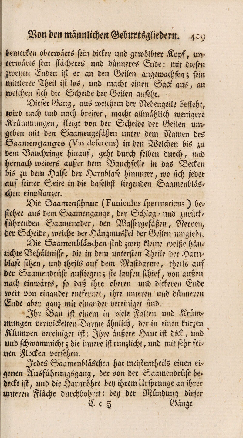 * 23on X)tn mämtlic&ett ©eBurtSglie&enu 409 1 bemerfen obemdrt^ fein bicfer unb gemSlbtet Kopf, un? 3 terwdrttf fein ßdcfyereg unb bftmteretf Grube: mit biefen i jmepen Gruben iß er an ben ©eilen angema4)fen; fein 1 mittlerer l$£eil iß lo$, unb mae&t einen ©acf am? t an Ü meieren ftcE) bie ©ci)eibe bei* ©eilen anfe|t : liefet ©ang , au£ meinem ber SRebengeile beßefk, ; tmrb nad; unb nad) breiter , madft admdpdj meutere ! Krümmungen, (leigt bon ber ©treibe ber ©eilen unv geben mit ben ©aamengefdßen unter bem tarnen be$ ©aamcngan^cö (Vas deferens) in ben QBeid&en bi$ *u bem ®aud;ringe hinauf, geßt burd; felben burd;, tmb i H;ernad; weitert außer bem Q5aud;felle in bas? QSecfen i bio ju bem ©alfe ber ©arnblafe hinunter, m ftef) jeber auf feiner ©eite in bie bafelbß Itegenben ©aamenMd^ d?en etnpßanjet* ®ie öaantenfrf)nur (Funiculus fpermaticus) 6e» ße£ee au$ bem ©aamengange, ber ©d;lag * unb jurücf* i fü^renben ©aamenaber, ben QBaffergefdßen, SRerben, ! bet ©d)eibe, meiere ber ©angmu^fel ber ©eilen mngtebt* ©ie SaamenMdöd)m ji'nb jwep Heine tbeißefjdu* tilgte QSefjdlmiße, bie in bem unferßen ^ßetle bet©am^ Wafe |t|en, unb tßeil£ auf bem 3)?aßbarrae, tjjeifö auf ber ©aamenbrttfe aufTiegen; }tc laufen fc^tef, bon außen stad; einwärts, fo baß ifjre oberen unb bteferen Gmbe i mett bon etnanber entfernet, ilrte unteren unb bünnereu ! Sttbe aber ganj mit etnanber bereiniget ftttb, \3ßr 95au iß einem in biele galten unb Krunv mutigen bermicfelten ©arme äjmftd;, ber in einen furjm : Klumpen bereiniget iß : 36 ^ äußere ©aut iß btef, unb * i unb fcf)mammid;t $ bie innere iß mußtest, unb mit fef>t fei* uen $locfen berfefjem 3ebes? ©aamenb(d£d>m (jat meißentfjeifö einen ei? i genen ?fu£fu{)mng£gang, ber bon ber ©aamenbrttfe be* I beeft iß, unb bie ©arnroßre bep intern Urfprmtge an tßtet unteren §ld$e burcf)boj)ret: bei; ber ÜÄünimng biefer - S c 5 ©dnge
