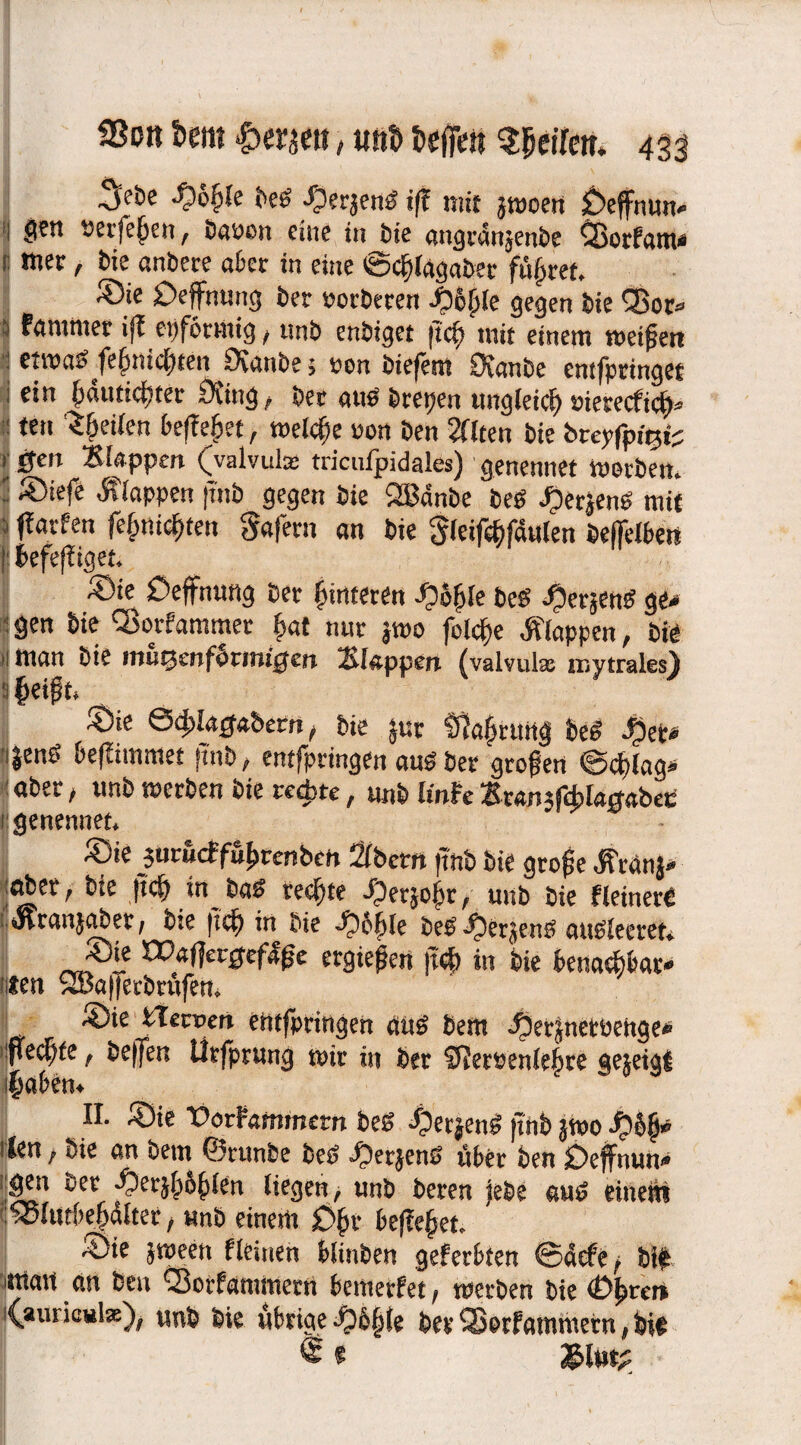 •3>cöe fybfyle Beö •Oerjenö ift mit jwoen Deffnun* i gen »erfeßen, Bauen eine in Bie angrdnjenbe Quotfam« s: mer, Bie anbete aber in eine ©cjjlagaber führet. ®ie Deflfnung Ber »orberen JQBßle gegen Bie Q3or- famtner ifl et)fönnig, nnb en&iget |tcf) mit einem weißen etwas feßnic&ten Oianbe; uon biefent Otan&e entfpringet i ein ßautkfner Oeing/ Ber auö Btepen tutgletcf) oieteefief)* ” ten feilen befielet, welche oon Ben Sflten Bie bceyfpi^fc 1 jfen *f> la ppen t^valvula: tricnipidales) genennet werben. ■ Siefe «Klappen |tn& gegen Bie QBdnbe Beö jj)er}enS mit ffarfen feßnießten gafern an Bie Sleifeßfdulen Betreiben }: befefiiget. ®ie Dehnung Bet fnnteren £o6le bcS J^enS ge* gen Bie CSorfammer bat nut jwo feiere «Klappen, Bie n man Bie inutjenfontiigeit klappert (valvulas mytrales) S jjeißt. ®üe ScjjJagabetn, Bie $ttt Ortung Bes’ J£jet* ijenö beffimmet ftnb, entfpringen au$ Ber großen <3ct)lag* aber , tmb werben Bie rechte, unB linh Zvantfcblagabct genennet. ®ie jttruef fuhren Bett %bem ftn& bie große «ftrdnj* aber, B:e ftef) in Bas? rechte JOerjofer, unb Bie Heinere «Jtranjaber, B:e ftef) in &ie Jpoble beb' dperjenb aubleeret. ®ie I»a|]er0ef|ße ergießen ftcf> in Bie benaebbar- nten QBa|]erbrftfen. ®ie bTecrert ehtfpringen äuö Bern «Set^netoehge* iffec^fc, Beßen tirfprung mir in Ber Sftemnlefere gejeigt ifcaben. II. Sie t>orFammem bes? ^JerjenS |tn& jwo Jpbß- ten, Bie an Bern ©runbe Bes? ^»erjenß über Ben Dehnun¬ gen Ber -Oerjlp&ßlen liegen, unb beren |ebe aus? einem ibSItttbefjdltet, unb einem Dßr beließet. Sie jween Heinen blinben geferbten ©defe, Bit mail an Ben fSorfammern bewerbet, werben Bie (Dßrer* i^aurieul*), unb Bie übrige «Obßle Ber Qoerfammern, Bie <$ e mv