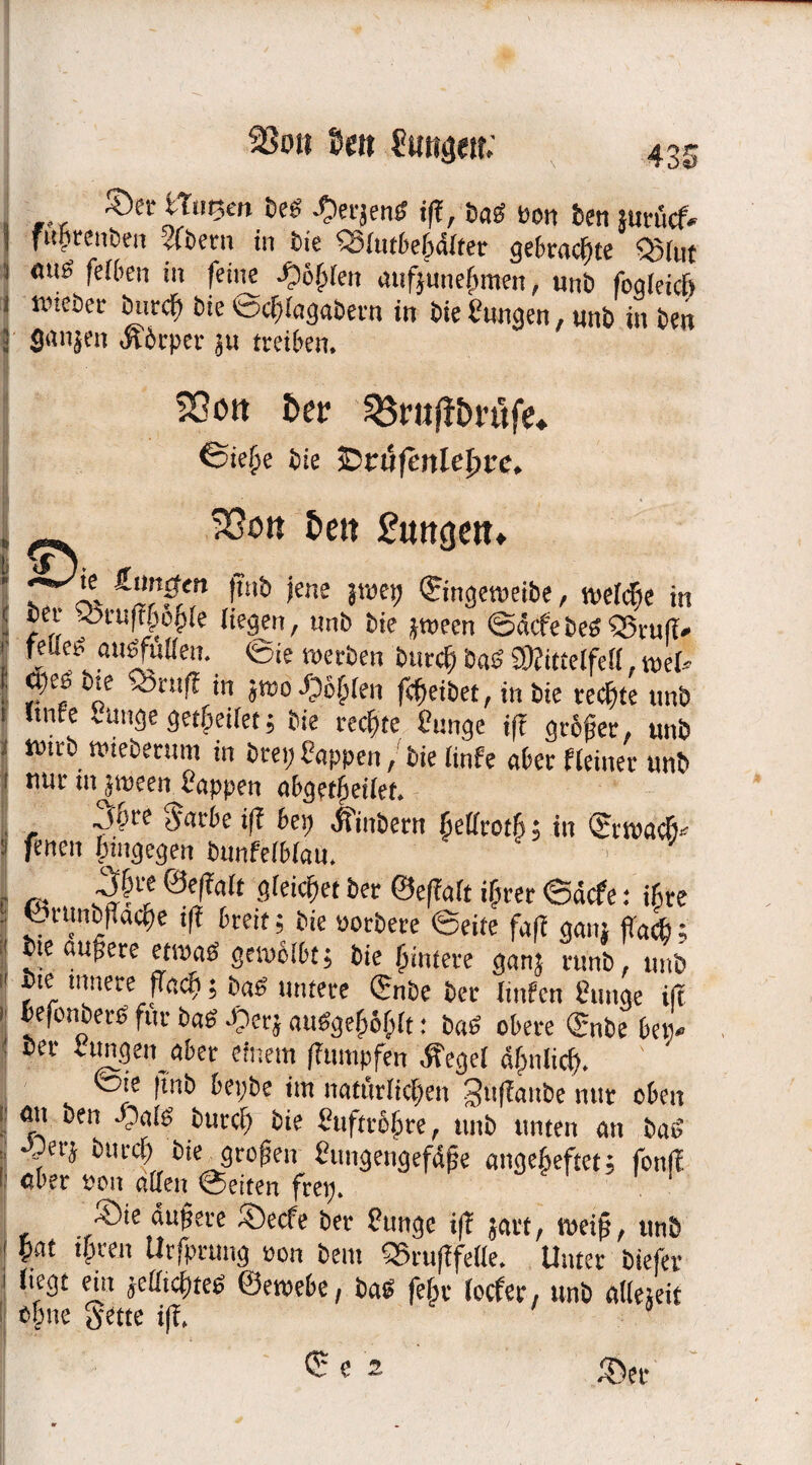 ©er tTirnm beß -Oetjenß ift, baß öon ten sutüdv fuptenben abern in bie SSlutbelgdlter gebrachte Q5lut feiben in feilte Jpöfjien aufjunefmten, unb foaleicf) wieber burcf) bie tecfglagabern in bie Cungen, unb in ben 8«njfn Äbtper ju treiben. 5ßott &er 58rufft>ntfe* €5ie{>e bie jDtüfenle^re, ?öon £>ett Smtgett» j S Äi'r?/n t'nb iene 8we9 ©mgeweibe, welc&e in ber 4>ruftJ>opie liegen, unb bie jmeen ©dcfebeß«Stuf!» feüe^ auefuUen. ©ie werben bttrcf) Daß SftittelfeH, mU ■ <t)es Die Sbruff in jn»o.£6§len fdjeibet, in bie rechte unb itnre iunge gebettet; Die rechte ?uw}e tf! §vSjmr, unD wirb tweberum in brei; fappen, bie iinfe aber Heiner unb nur in jtüeen Üappen abgetfeilet. ~i6re ejfarbe iß bet) dtiubern ^ettrotß; in ©itvaclf- fenen (nngegen bunfelblau. i ,, 'Sletyet ber ©effalt ijjret ©dcfe: ihre C runbpacpe i|? breit; bie uotbere ©eite fafl gaiu jTacb; bte äußere etmaß gewölbt; bie Hintere ganj rttnb, unb bte innere fTfic^; baß untere ©nbe ber linfen einige ift befonbers für baß -Oet} außgefblglt: baß obere ©nbe betv ber iungen aber einem ffrtmpfen .ffegcl dfjultcl). fote ftnb bepbe im natürlichen Suffanbe nur oben att ben -Oalß burcf) bie l'ufttöbte, unb unten an baß i?erj bttrcl) bie^grofjen £ungengefdfe angebeftet; fonff aber »oit allen ©eiten frep. ©ie dufete ©ecfe ber ?unge ift jart, weif, unb bat tyren Utfprung ron bem SSrufifeHe. Unter biefer liegt ein jelltchteß ©ewebe, baß felgt locfer, unb alleseit eigne gette if?, © e 2 ©er /