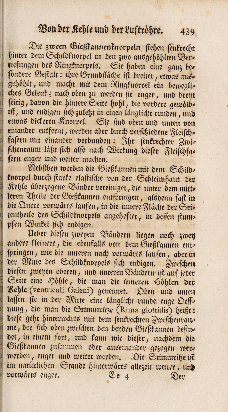 ©ie Jtcccn ©iefjFannenFnorpcln jTeJkn feiifrecht fiintec bem ©chilbfnorpel in beit jwo auegeböhlten <Ser- tiefungen be« üvingfnorpel«, ©ie haben eine gan} be- ' fonbeve ©eflalt: ihre ©tunbfTdche iff breiter, etwa« au«- ! gebo&Ft, unb macht mit bem Ofingfnorpel ein bewegli¬ che« ©elenf; nach oben j« werben |te enger, unb biept i feitig,baoon bie hintere ©eite {johl, bie potbete gewblb- | i|!, unb enbigen licf) jule|t in einen langlicht runben, uni> 1 etwa« bicferen Knorpel, ©ie |tnb oben unb unten von Jeinanber entfernt, werben aber burch oerfchiebene $leifch- fafertt mit einanber oerbunben: 36c fenfrechter gwi- fcf>enraum läßt |Tc() alfo nach SBirfung biefer gleifciifa- fern enger unb weiter machen. 9?eb(Fben werben bie ©ießfannen mit bem ©chilb- fnorpel burch fiatfe elafiifche oon ber ©di leim haut bee | Äe^le überzogene QMnber vereiniget, bie unter bemmitt- Ileren ^heile bet ©ießfaraten entfpringen, al«benn faf? in bie Öuere vorwärt« laufen, in bie innere fläche ber @ei- tentheile be« ©chilbfnorpel« angeheftet, in belfeit (ium- pfen 2Binfel (tch enbigen. I lieber biefen jwepen ‘QSänbetn liegen noch jwetj anbere ffeinete, bie ebenfalls von bem ©iefjfanneit ent¬ fpringen , wie bie unteren nach oorwart« laufen, aber in ber CÜfitte be« ©chilbfnorpel« ftch enbigen. gwifchen biefen jweiien oberen, unb unterenQSänbetn i|lauf jebec ©eite eine dpbhle, bie man bie inneren 6tylcn ber '.Reble (ventrieuii Galen© getiennet. Oben unb unten la(fen fte in ber SDJitte eine Idnglichf runbe enge £)eff- nung, bie man bie ©rimmrftje (Rima glottidis) heißt: tiefe geht hintetwdrf« mit bem fenfrechten Swifchenrau- me,bet (tch obenjwifchen beu benben ©ieffatmen beftn- bet, in einem fort, unb fann wie biefer, nachbem bie ©ieffannen jufammen ober au«einanber gejogen wer- werben, enger unb weiter werben, ©ie ©timmtifse iff im natürlichen ©tattbe hinterwdrt« allejeit weiter, uni verwart« enger, Ie 4 ©er
