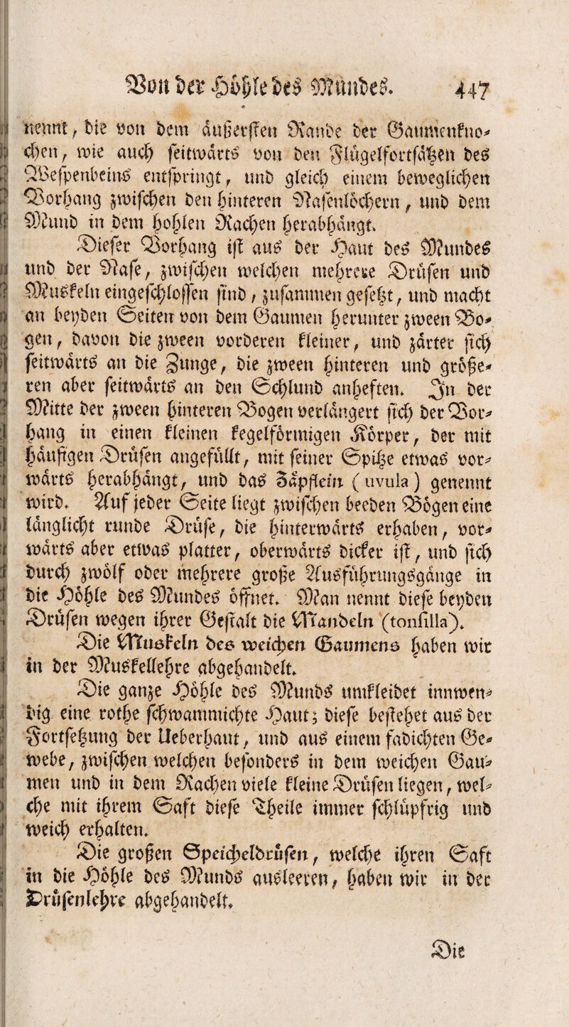 93on I>et I ..'s . 1 nennt , bie von bem dußerfTen Dvanbe tkt ©aumenfno* ;;i eben, wie aucf) feitmdrtS dom Den $lügelfortfdhen beS ;• SBefpenbeinS entfpringt , unö gleich einem beweglichen j Vorhang ^wifchen ben hinteren 9?afenl6chern , unb bem i| S)funb in bem hohlen diadjon herabhdngt* ©iefer Vorhang ift aus ber ©aut beS SOJunbeS w unb ber €>?afe, $wtfd;ett welchen mehrere ©rufen unb I 9J?uSfeltt eingefchlofjen ftnb, ^ufammen gefegt , unb macht :) an bepben ©eiten non bem Saunten herunter jweenQSo* i gen, bauen biejween uorberen deiner, unb jdrter |tch !) feitwdrtS an bie Sunge, bie jweett hinteren unb große* i ren aber feitwdrtS an ben ©chlunb anheften* 3« ber I S)?itte ber *ween hinteren Sßogen verlängert ftd) berCSor* | han9 in einen deinen fegelfbrmigen Körper , ber mit 1 puftgen ©rufen angefüllt, mit feiner ©ptp etwas vor* f wdrtS hera^dngt, unb baß Sapflent ( uvula) genennt r wirb* Sfuf jeber ©eite liegt jwifchen beeben 33ogen eine | Idngltcht runbe ©rufe, bie hinterwärts erhaben, vor* | wdrtS aber etwas platter, oberwdrtS tiefer ift, unb ftd) i. burd; jw&lf ober mehrere große 2fuSfühnmgSgdnge in I bie ©6§le beS 9J?unbeS öffnet* 93?an nennt biefe bepben j ©rufen wegen ihrer Seftalt bie ilTanbelrt (tonfilla)* ©ie Wftmhln beo voeidpen (Baumens haben wir i in ber 93fuSfellehre abgehanbelt* ©ie ganje ©6ßle beS £9?unbS ttmdeibet innwen* I big eine rothe fchwanmüd)te ©aut; biefe befiehlt aus ber : §ortfe|ung ber Ueberfjaut, unb aus einem fabid)ten @e* f webe, jwtfchcn welchen befonberS in bem weichen ©au* i men unb in bem Dtadjenviele deine ©rufen liegen, mU | che mit ifn’em ©aft biefe ^heile immer fchlüpfrig unb weich erhalten* ©te großen ©peichelbrüfm, welche ihren ©aft ■ in bie ©6hie beS 9)?unbs auslemn ? fyabtn wir in ber SDrüfenlepe abgehanbelt.