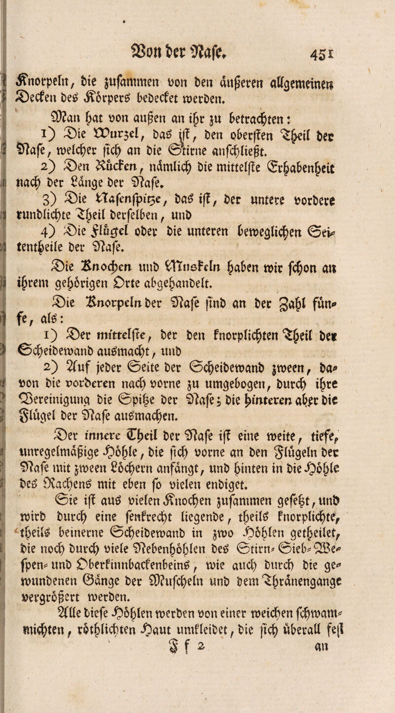 Knorpeln, bk jufamnten Don ben anderen allgemeinen ©ecfen be£ Äot*pet£ bebecfet metbem 9J?an fjat oon aujien an i{jt ju Betrauten: 1) ©ie £Dur$el, ba£ iff, ben pbecffen ^^eil bec Slafe, welcher (tcf) an bie ©ntne anfd)lie$t, 2) ©en liefen , ndmlid) bie mitteljle ®t§aben|>eit na<$ bet Sange bet 9fafe* 3) Sie STafenfpi^e, ba$ iff, bet tmtete ootbete tunblid)te ^§eil beefelben, tmb 4) ©ie obet bk unteten beweglichen ©ei* tent^eile bet 9fafe* ©ie Bnod?en unb tTfußMn haben wir fd^on au intern gehörigen £)tte abgehanbelt* Sie Bnotpeln bet Sfafe |tnb an bet ga£l fun* fe, al£: 1) ©et mitteffte, bet ben fnotplic^ten ^eil bet ©c^eibemanb au£mad)t, tmb 2) 2(uf jebet ©eite bet ©djeibewanb jween , ba* Don bie uorberen nacf) ootne $u umgebogen, butch i£we ^Bereinigung bie ©pi|e bet 97afe 5 bie Ernteten ab^t bie glügel bet Sftafe au^machen* ©et innere (Lfyeil bet 9fafe iff eine weite, ttefe^ unregelmäßige ©o(jle, bie ftcf) Dorne an ben klügeln bet $fafe mit $ween Soccern anfdngt, unb hinten in bie ©o|)te be£ 9vacf)en£ mit eben fo Dielen enbiget ©ie iff au£ Dielen Änocf)en jufammen gefeft,unb wirb butd) eine fenftecf)t liegenbe, tf>eil6 fnorplid)tef beinetne ©c^eibemanb in $wo ^6&len get§eiletf bie noef) burd) Diele 9feben^o^len be£ ©tirn*©ieb*QBe* fpem unb £)berfinnbacfenbein6, wie and) butd) bie ge* mmbenen ©dnge bet SO?ufd)elntmb bem^tdnengange Detgroßett werben, 2(lle biefe ©b^ten werben Don einet meinen fchwam* mieten, tot^licbten ©aut umfleibet, bie \i<fy überall fejl $ f 2 an