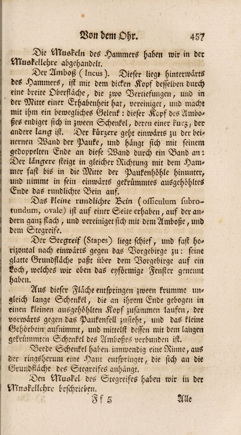 SSoit Im Dfyt. 45? S)ie Vttu&ttln be£ Jammer# ^a6en mit in bet tXtu&Mlefyre abgefranbelt* %mbo$ (Incus). ©iefer liegt fnntermdrtS be^ Rammet*#, ijt mit bem bicfen $opf beleihen burcl) eine breite £)berjTdc[)e , bie ^mo Vertiefungen , unb in i bei* 93?itte'einer ©r^abei^ettfwt, vereiniget, unb macf^t t mit iipm ein bemeglicl)e£ ©elenf: biefer Äopf be£ 2lmbo* 1 enbiget jtcf) in $meen ©cf)enfel, bereu einer ftir$f bec * anbere lang ©er fördere ge£t einwärts in bei* bei* i nernen ®anb ber §>aufe, unb f)dngt |tcf) mit feinem t gehoppelten Qrnbe an biefe 28anb bttrcf) ein Vanb an: : ©ei* lindere fteigt in gleicher Störung mit bem *0am* r mer faff bi6 in bie S9?ifte bei* ^aufenbb^le hinunter, i imb nimmt in fein emmdrts gefrümmteS au$ge&5£lte$ ©nbe ba£ runbiicl)te Vein auf* ©a£ Heine rtmblid)te Bein (ofliculum fubro- tundum, ovaie) i)| auf einer ©eite ergaben, auf ber an* s bern ganj fTad), unb vereiniget fiel) mit bem 2ftnbo£e, unb I bem ©tegmfe* ©er Stegreif (Stapes) liegt fcfyief, unb faff 60* rifontal nad? einmdrt# gegen ba£ Vorgebirge ju: feine ► glatte ©runbfTdcfje paßt über bem Vorgebirge auf ein ' 2ocl), mld)e$ mir oben ba£ epformige $enf!er genennt ; fjaben* 2fu6 biefer $ldcfje entfpringen $meen brumme un* ■ gleicf) lange ©djenM, bie an intern ®nbe gebogen tn einen fleinen autfge&oßlten Jfopf jufammen laufen, ber ■ vormdtt£ gegen baS §3aufenfe£l jufte^t, unb ba£ Heine 1 ©eptrbem aufnimmt, unb mittelff beffen mit bem langen j gebrummten @c|enfel bet? 2(mboße£ verbunben tff* Veebe ©c&enfel 6aben- innmenbig eine 9tinne, au£ i bei* ring^erum eine J)aut entfptinget, bie ftcfy an bie 1 ©runbfbdclje be£ ©tegteife£ anpngt* ©en VUußhl be£ ©tegreifet §aben mir in ber I Vfhmhllehve betrieben* ’8f5 5f0e