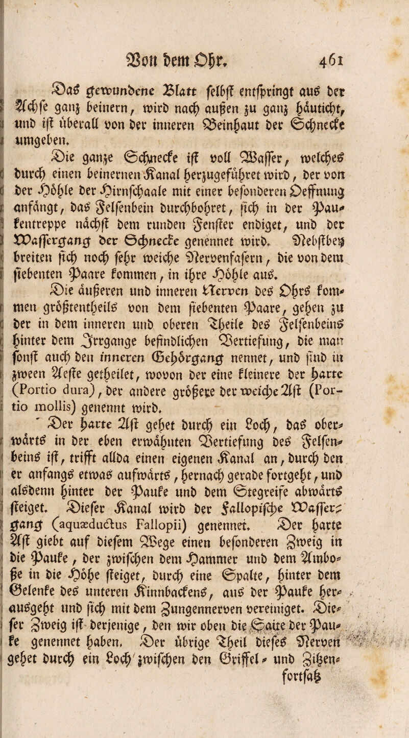 ®a# getvtmbene Blatt felbß entfpringt au# ber 5f$fe ganj Seinern, wirb nacl) außen ju ganj fcäuticfyt, unb iß überall von ber inneren QSeinfwut bet ©ejmeefe umgeben. ®te gan^e ©cfynecfe iß voll QBaffer, welche# burcf) einen beinernen Äanal §et&ugefü|)ret wirb, bet von bet fybfyk ber ^irnfc^aale mit einer befonberen £>effmmg anfängt, batf $elfenbetn bttrcf)bo£)tet, ßd) in ber *Pau* fentreppe näc£)ß bem runben $enßet enbiget, unb ber XXViffercjanct ber ödnxecrc genennet wirb. Slebffbe^ breiten ßcf) no<# feßr weicße SRervenfafern, bie von bem jtebenten 93aare fommen, in i§re i>6{)le au#. ®ie äußeren unb inneren tXcvvcn be# £>fjr# fern* men großtentfreil# von bem jtebenten Spaare, gefjen $u ber in bem inneren unb oberen ^erle be# gelfenbein# hinter bem ^rrgange beßnbliet)en Qoertiefung, bie man fonß aucß ben inneren (Befyovgang nennet, unb ßnb in fcween Wefte get^eilet, wovon ber eine Heinere ber |>atte (Portio dura), ber anbere großepe berweufje2lji (Por¬ tio mollis) genennt wirb. ' ®er l>arte 2ljl gepet burcl) ein £0$, ba# ober* wärt# in ber eben erwähnten SSertiefung be# Reifen* bem# iß, trifft allba einen eigenen Äanal an, burcl) ben er anfangs etwa# aufwärt#,§erna$gerabefortgel)t,unb al#bemt hinter ber ^>aufe unb bem Stegreife abwärts ffeiget* ®iefer Äanal wirb ber £aüopifd>e Waffetz gang (aquasdudus Fallopii) genennet. ®er £arte 2fß gtebt auf biefem SBege einen befonberen §weig in bie ^paufe , ber ^wife^en bem Jammer unb bem 2fmbo* ße in bie Sjofye ßeiget, burcl) eine ©palte, hinter bem ©elenfe be# unteren $mnbacfen#, au# ber Tarife fjer* au#geßt unb ßcf) mit bem gungennerven vereiniget. ®ie* fer gweig iß beseitige, ben wir oben bie ©alte ber *Pau* fe genennet {jaben. ®er übrige ^eil biefe# Nerven gejjet burcf) ein £ocff}Wifcf)en ben ©riffele unb gifjen* fortfal
