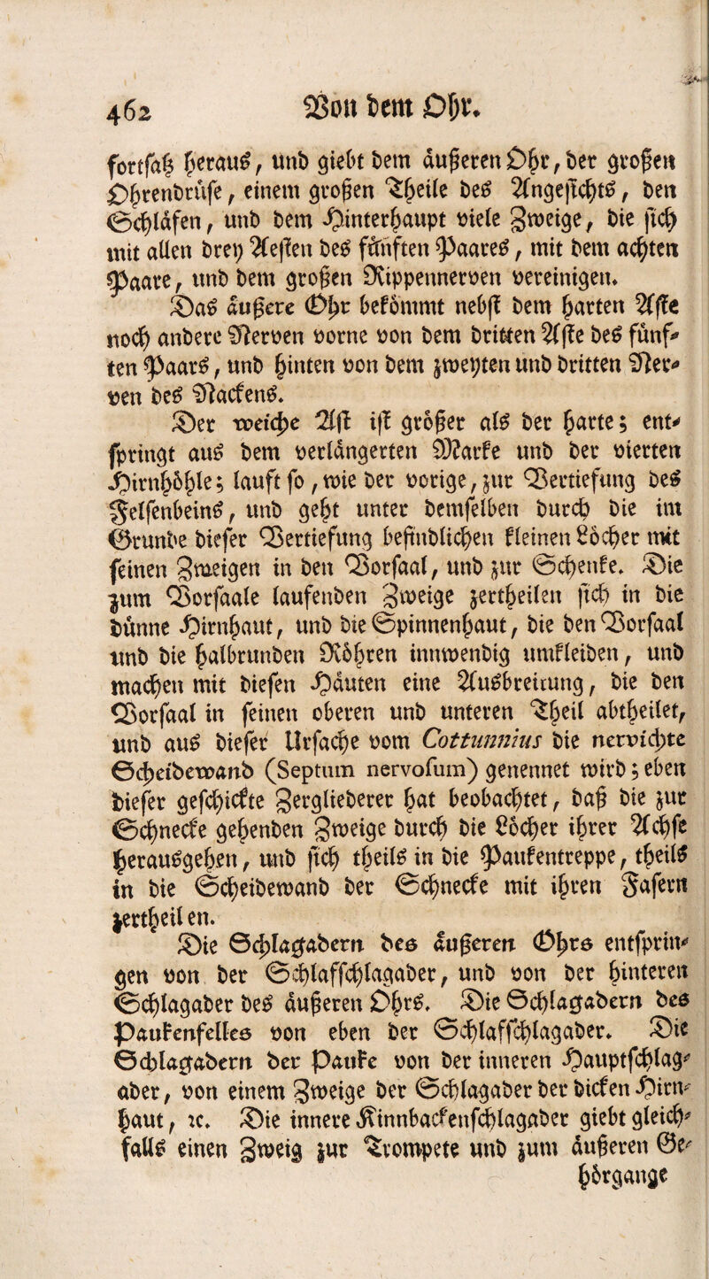 fbrtfal ßcrau*, unb giebt bem duneren £>hr, bet großen £>hrenbrüfe, einem großen ^^ei(e beS AngeftchtS, beit ©cfyldfen, unb bem Hinterhaupt viele gweige, bie ftch mit allen brep Aeffett beS fünften ^aareS , mit bem achten 93aare , unb bem großen Üiippennerven vereinigen* ©aS äußere befommt nebß bem harten Affe noch anbere Herren vorne von bem britten Aße beS fünf* ten ^aarS, unb hinten von bem jtvepten unb brüten Sfter* reu beS SftacfenS. ©er treibe Aff iß großer als ber h<wte > ent* fpringt aus bem verlängerten SDJarfe unb ber vierten Hirnh&hIe5 lauft fo, wie ber vorige ,^ur Vertiefung beS ^elfenbeinS, unb gebt unter bemfelben burch bie im ©runbe biefer Vertiefung beßnblichen fleinen Köcher rmt feinen feigen in ben Vorfaal, unb ^ur ©chenfe* ©ie jum Vorfaale (aufenben Steige jertheilen ftcf> in bie bünne Hirnhaut A unb bte ©pinnenhaut, bie ben Vorfaal tmb bie hulbrunben 9v6hren inmvenbig umfleiben, unb machen mit biefen Hduten eine Ausbreitung , bie ben Vorfaal in feinen oberen unb unteren ^heil ubtheilet, tmb auS biefer Urfache vom Cottunmus bie nctvid)tt ©cbeibewanb (Septum nervofum) genennet tvirb; eben biefer gefehlte ^erglieberer hut beobachtet, baß bie $ut ©ehneefe gehenben Steige burch bie Socher ihrer Achfe herausgehen, unb ftch theils in bie 5>aufentreppe, theilS in bie ©cheibewanb ber ©ehneefe mit i(n*en Safern jertheilen. ©ie 0chla$abertt beö äußeren <£>fyv& entfpriw gen von ber ©chlaffchlagaber, unb von ber hinteren ©cfrtagaber beS äußeren £>hr^ ®ie ©chlagabern bes PauFenfelkö von eben ber ©chlaffchlagaber* ©ie ©cbla^abem ber PauFe von ber inneren pauptfchlag* aber, von einem Stveige ber ©cßlagaberberbiefenHün^ laut, :c* ©ie innere Äinnbatfenfchlagaber giebt gleich* falls einen Smeig jut trompete unb jum äußeren @e^ hbrgange