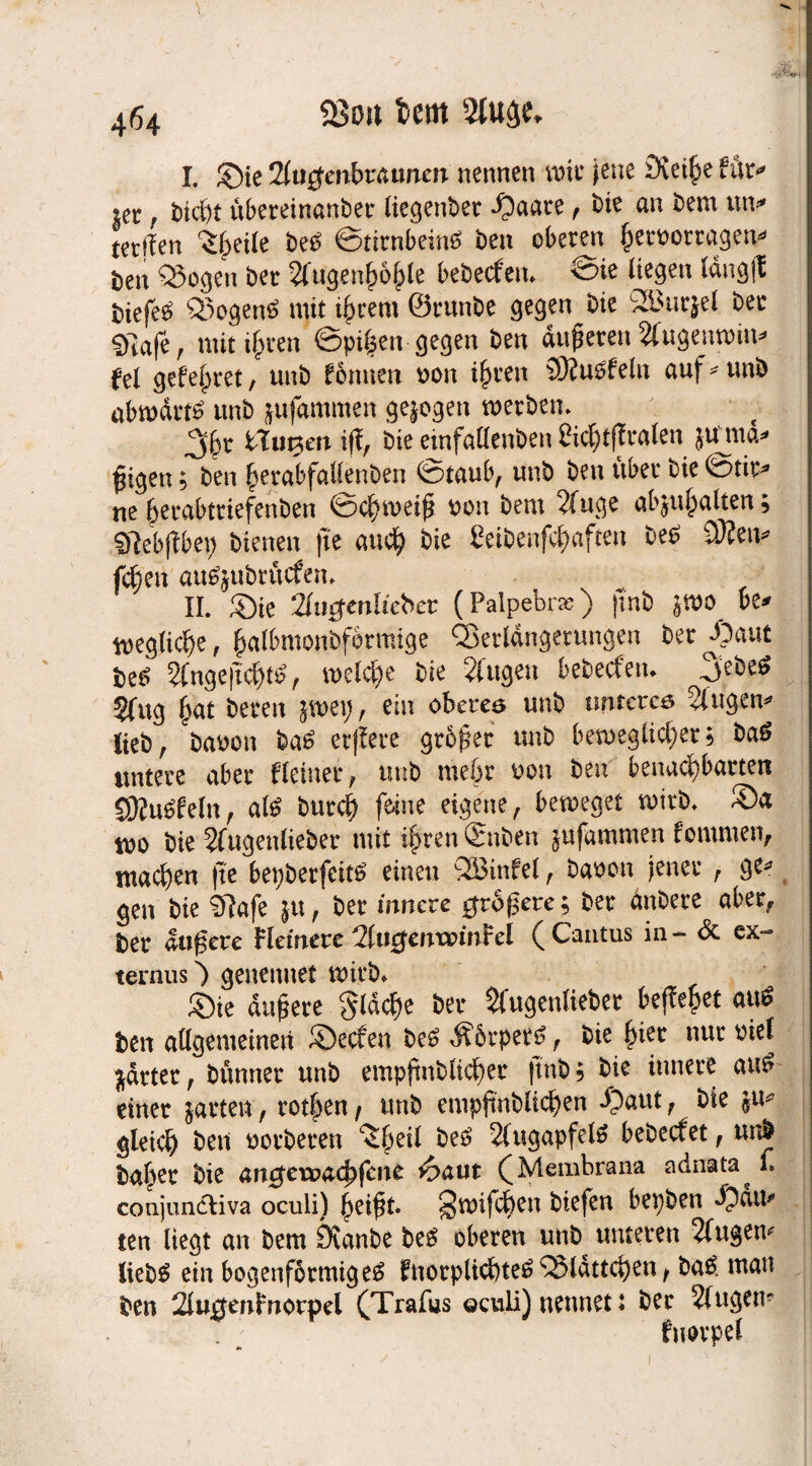 I, Sie ‘2lu$enbzauncn nennen wie Jene Svei^e für* iet , bicht ubereinanber liegenber -fDaare , bie an bem un* tetllen (tyeite beO ©tirnbeittf ben oberen heruotragen* i)en QSogen ber Augenhöhle bebeefem ©te liegen Idngjt t>iefe^ 35ogert$ mit ihrem ©runbe gegen bie 2Burjel. ber sftafe, mit ihren ©pi|en gegen ben auferen Augenwin* fei gefehret, unb fönnen uon ihren SKuufeln auf* unb abwdrt£ unb jufammen gezogen werben. Vht$eniff, bie einfallenben 8i^t|lralen Jtfma* f tgen; ben herabfallenben ©taub, unb ben über bie ©tir* ne berabtriefenben ©chweif uon bem Auge abjuhaften; Sftebjfbep bienen fte auch bie CeiDenfc^aften beO ÜRetv fcfcen autfjubrücfen. II. Sie 2hi$en!iebcv (Palpebrae) jtnb jwo be* wegliche, ba^mon^rm^e Verlängerungen ber^3aut teS Angejtchtö, welche bie Augen bebeefetn 3^6 Sfug fat bereu jwep, ein oberem unb untere# Augen* lieb, bauen ba£ erffere gtofer unb beweglicher5. ba£ untere aber Heiner, unb mehr uon ben benachbarten SSßuSf ein, als burch feine eigene, beweget wirb. Sa wo bie Augenlieber mit ihren £nben jufammen fommen, machen fte bepbetfeits einen SBinfel, bauen jener , ge* gen bie Sftafe ju, ber innere ere; ber dnbere aber, ber andere Fletnere AucjenwmFel (Cantus in— & ex- ternus') genennet wirb. Sie duftere gldche ber Augenlieber befielet au$ ben allgemeinen Secfen be£ Äörper#, bie fyiet nur uiel jdrter, bünner unb empftnblicher ftnbj ^ innere au£ einer jarten, rotten / unb empfinbitchen «Oaut, bie ju* gleich ben uorberen ^Sfeil bei? Augapfel# bebeefet, unb ba^er bie amjewachfcne 6aut (Membrana adnata^ 1. conjundliva oculi) heift. §wifcf)en btefen bepben Sem* ten liegt an bem Övanbe be# oberen unb unteren Augen* lieb# ein bogenförmige# fnorplichte# Blättchen, ba#. mau ben 2lu0enfnorpel (Trafus ©culi) nennet t ber Augen* fuorpel