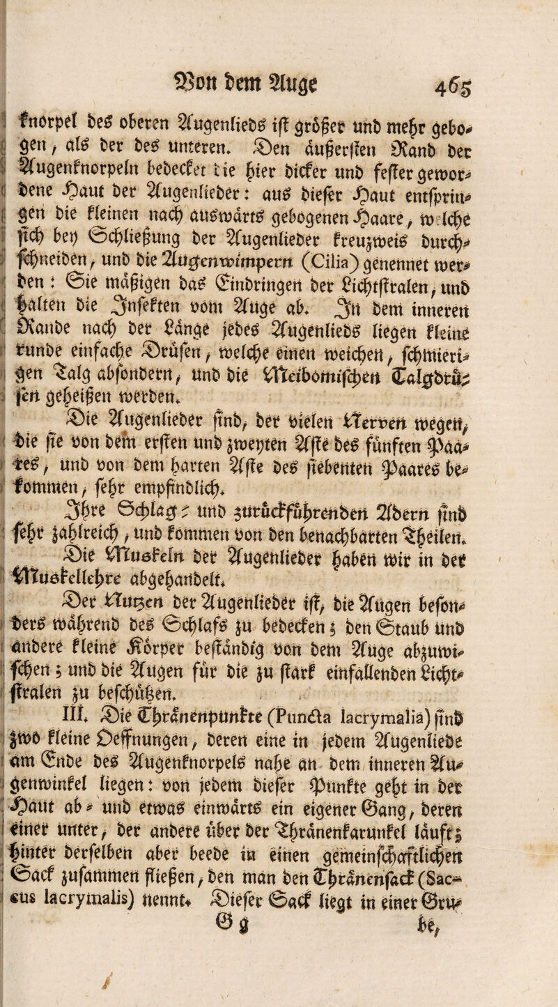 $$on teilt 2luge 455 i fnorpet beb oberen Sfugenliebb iff grofer unb mehr gebo* !i 9etl t «te bet beb unteren, ©en äufjerjlen 9fanb bec : 2iugenfnorpe(n bebecfet He hier bicfer unb feffergemor> i iei,e -O^ut ber 2Higenlieber: aub biefet ©aut entfptim | <p bie fteinert nach attbwdrtb gebogenen ©aare, w lebe fidf bei) ©chliefmng ber Sfugenlteöer fteujroeis burch* > fefjuciben, unb bie Tlugenwimpem (Cilia) genennet roer* \ *en : 6ie innigen bab Einbringen ber Sii$tfltalen, uub ; Raiten bie ^jnft'Fren oom 2iuge ab. ^n beni inneren Üranbe nach ber Sänge jebeb 2fugenliebS liegen Heine runbe einfache ©rufen, «selche einen meieren, fchmieti* gen 'Salgabfonbetn, Unb bie Wläbdmiftym Calgbtü; Ijett geheißen roetben. Sie Sfugenlieber jtnb, ber PiClen STerrcn wegen, bte |te »on bem erjren unb jroepten 2ffbe beb fünften <paa» teb, unb »on bem harten 2((?e beb ftebertten Zagreb be» fonnnen, fe§r empfinbiief). •3$re &$l&0 ; unb jtirud'fuhrenöen 21bern |tnb fe§r ä«6ireici), unb fornmen oon ben benachbarten ^peilern Sie STlueFeln ber 2lugenliebec haben Wir in ber Ütuebeilciire abgehanbelf. ©er bTutjen ber 2{ugen(ieber i|f, bie 2fugen befen* berb mähtenb beb ©chlafb ju bebeefen 5 ben ©taub Unb untere fleine Körper beffdnbtg pon bem 2(ugc abjutoi* feiert; unb bte tilgen für bie ju (farf einfallenben Sicht-» fetalen ju befchülien. IM» ©ie Cf)raimtpünFte (Panda iacrymaliä) jtnÖ jlPO Heine ©effnungen, beren eine in jebetn Sfugenliebe : um Enbe beb 2(Ugenfnorpelb nahe an bem inneren 21u* 1 gctmunrel liegen; oon jebetn biefer fünfte geht in ber ©aut ab* nnb etmab einwärts ein eigener ©ang, bereu einet unter, ber anbete über ber ^fwänenbatUnfel lauft5 hinter berfeiben aber beebe in einen gemetnfcijaftfichen : ©aef jufammen fTtefjen, ben man beh Ci)r«nenfacf (Sac- 1 «us lacrymalis) nennt* ©iefet ©ad liegt in einet ©ruf ©0 k, /